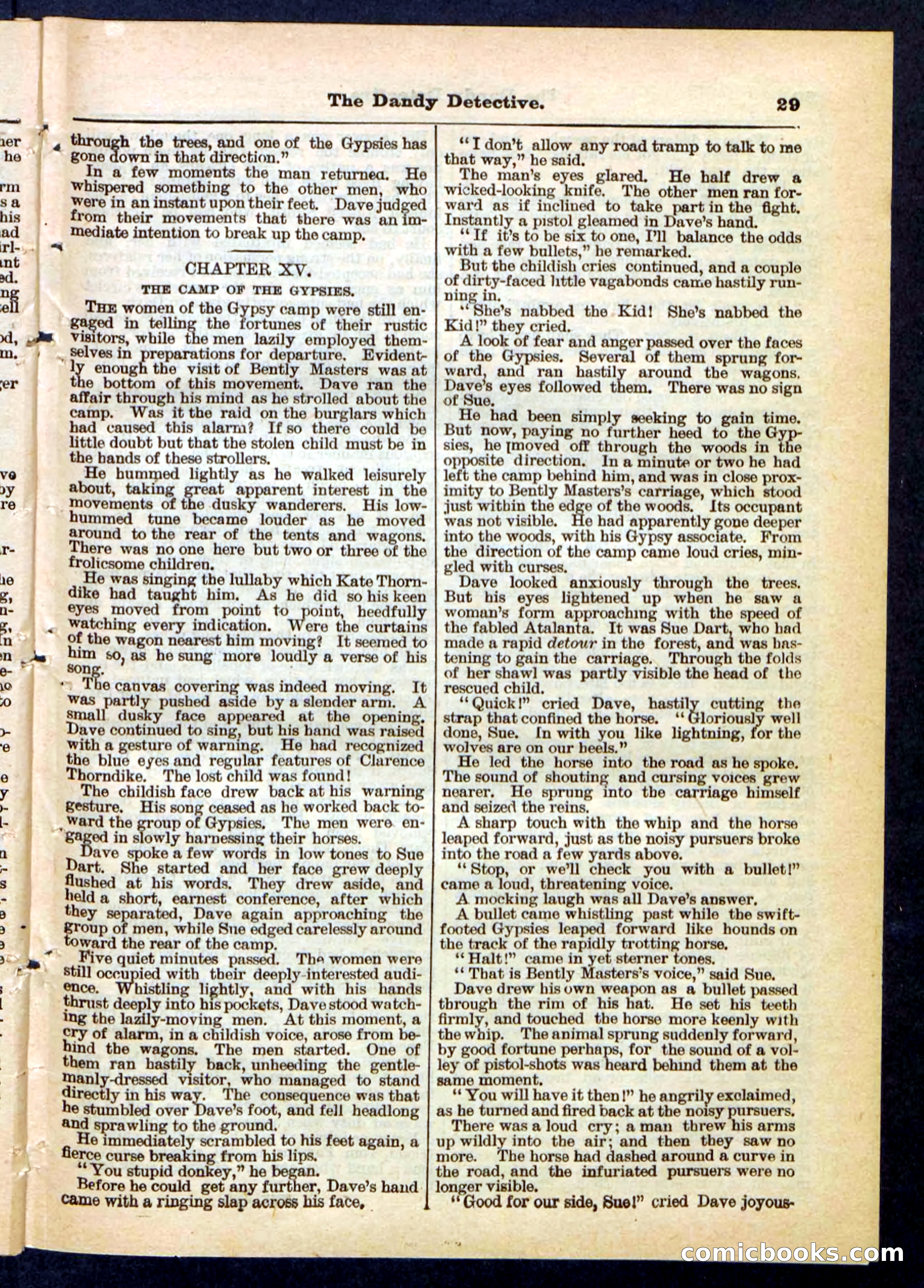 Beadle's Pocket Library No. 196 — page 29 of 32