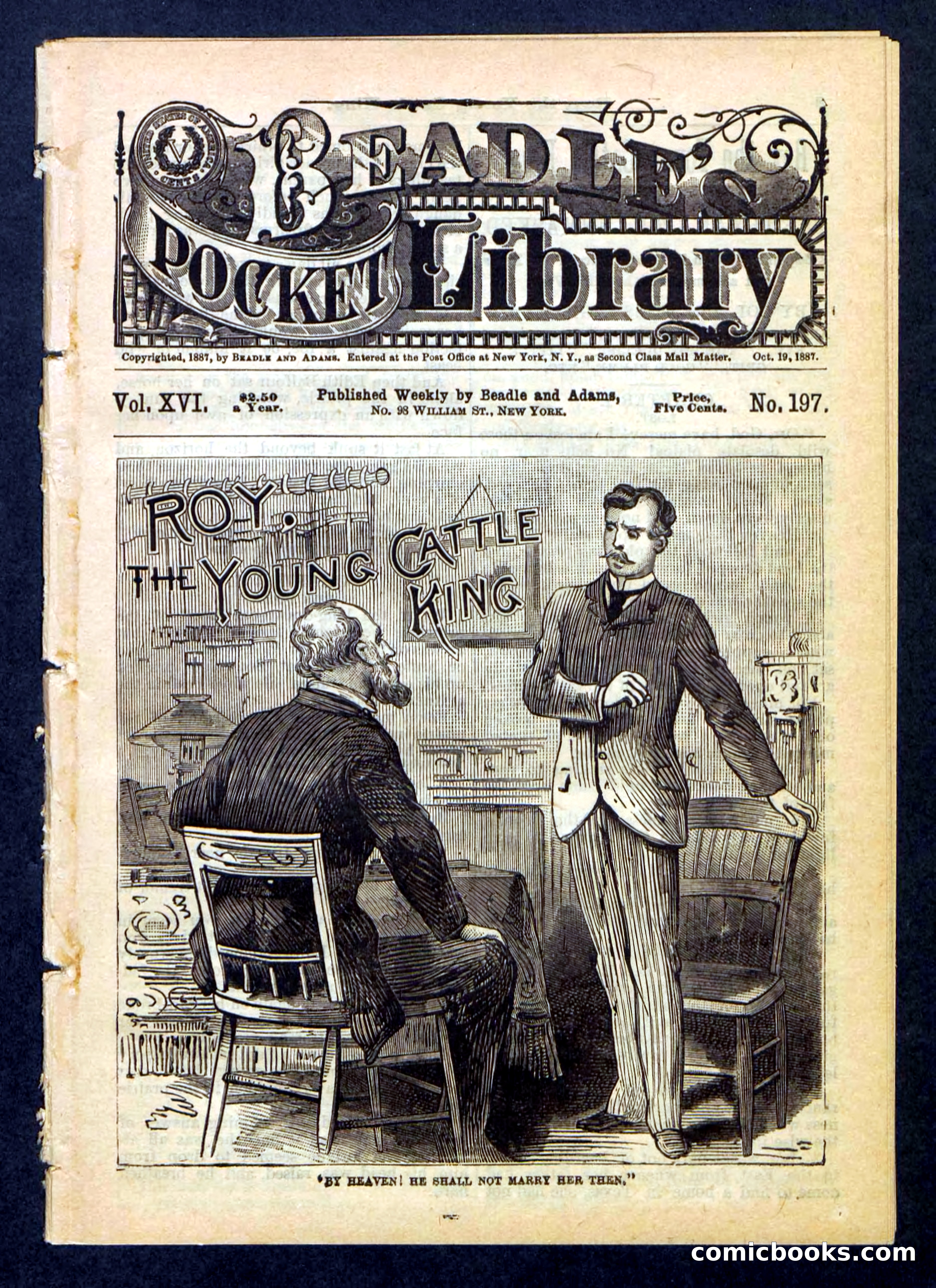 Beadle's Pocket Library, No. 197 — page 1 of 32