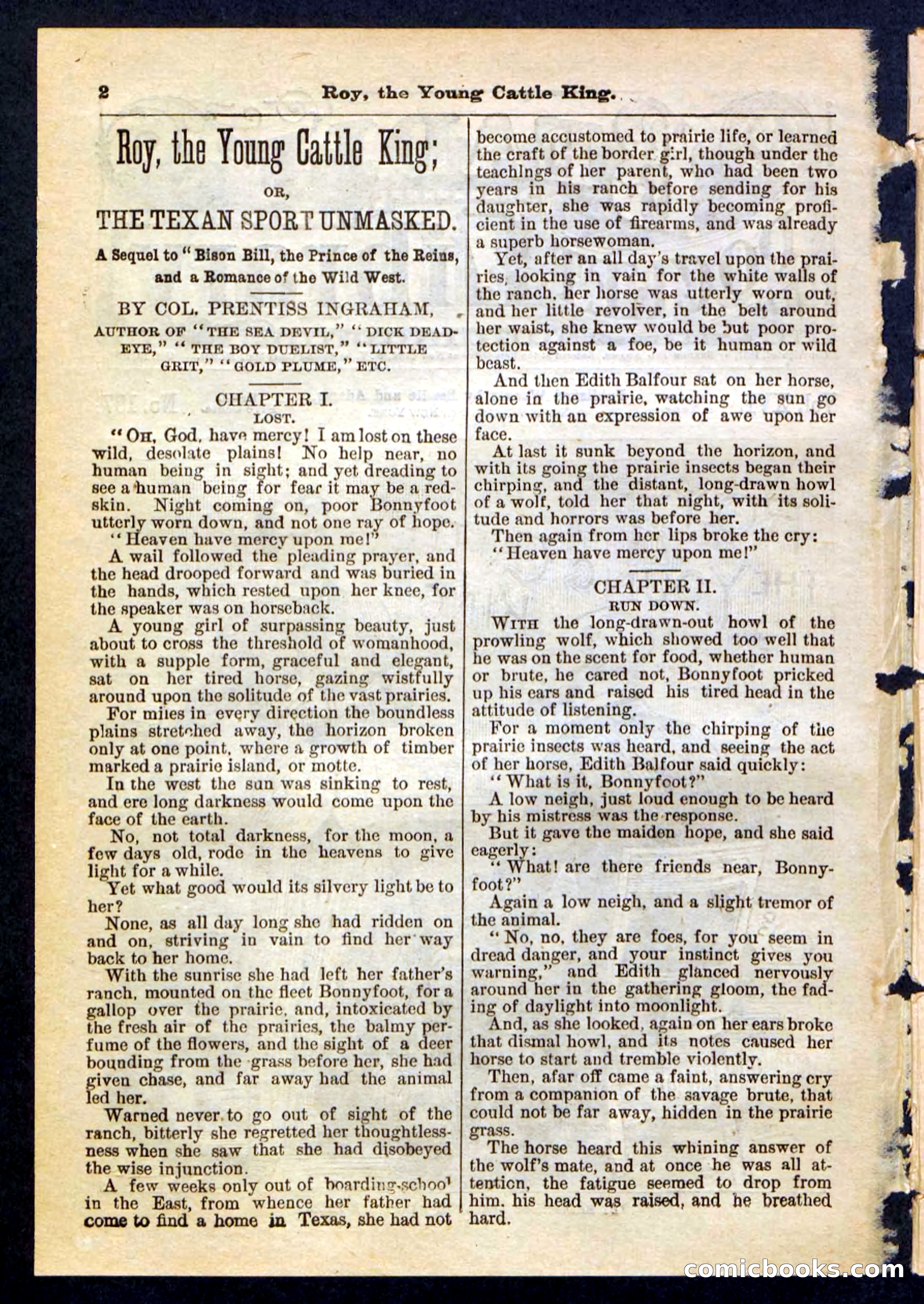 Beadle's Pocket Library, No. 197 — page 2 of 32