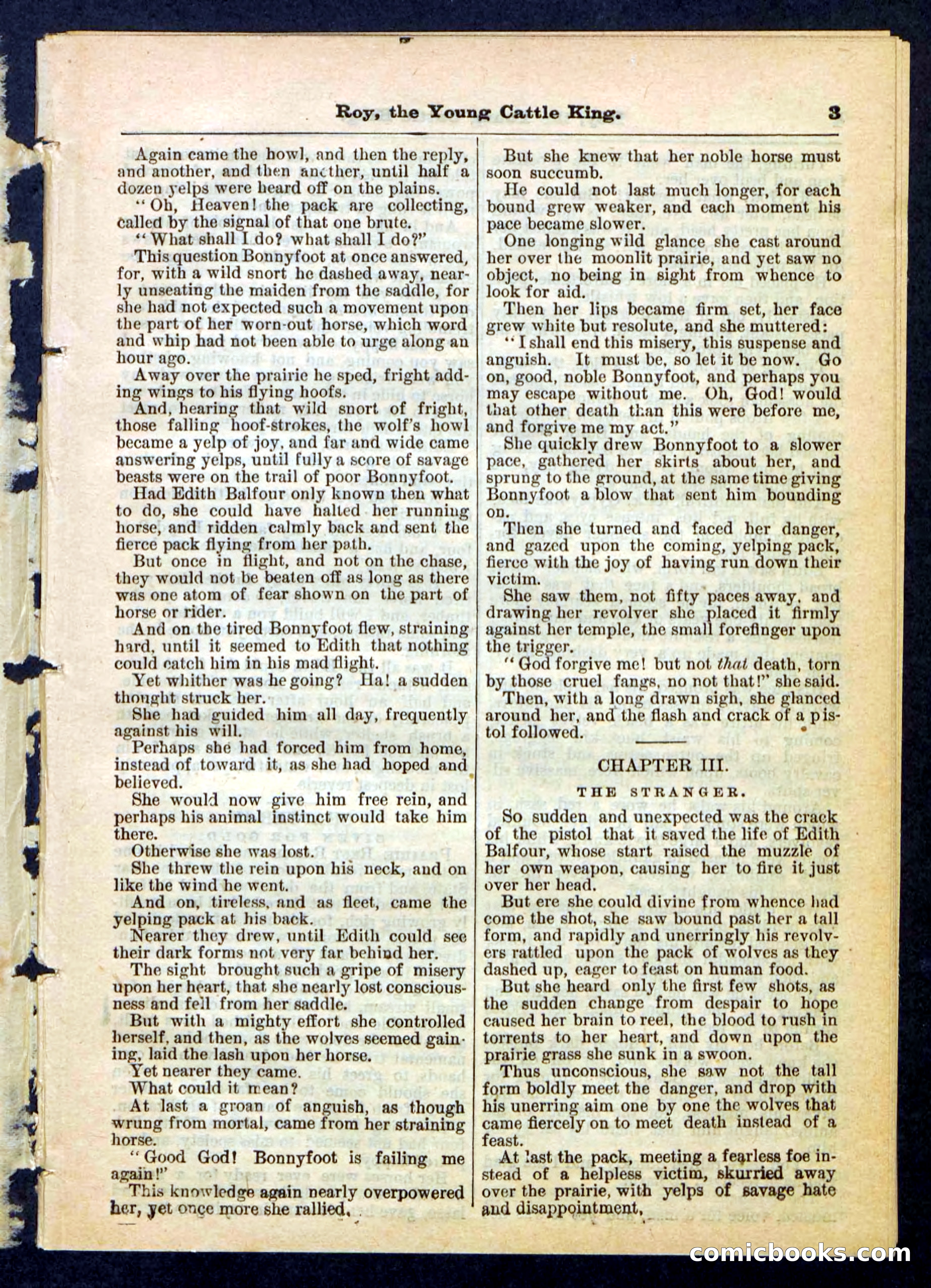 Beadle's Pocket Library, No. 197 — page 3 of 32