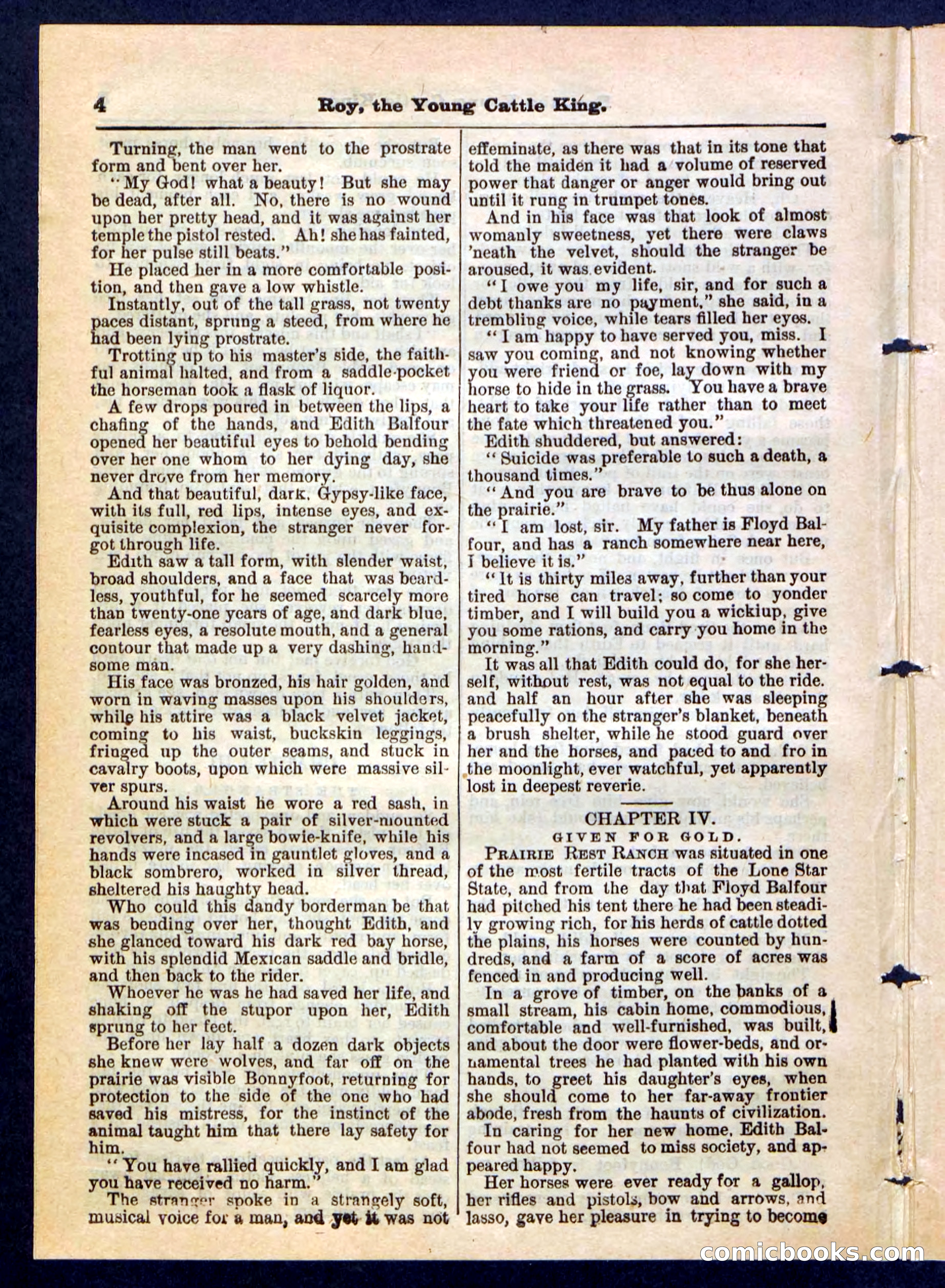 Beadle's Pocket Library, No. 197 — page 4 of 32