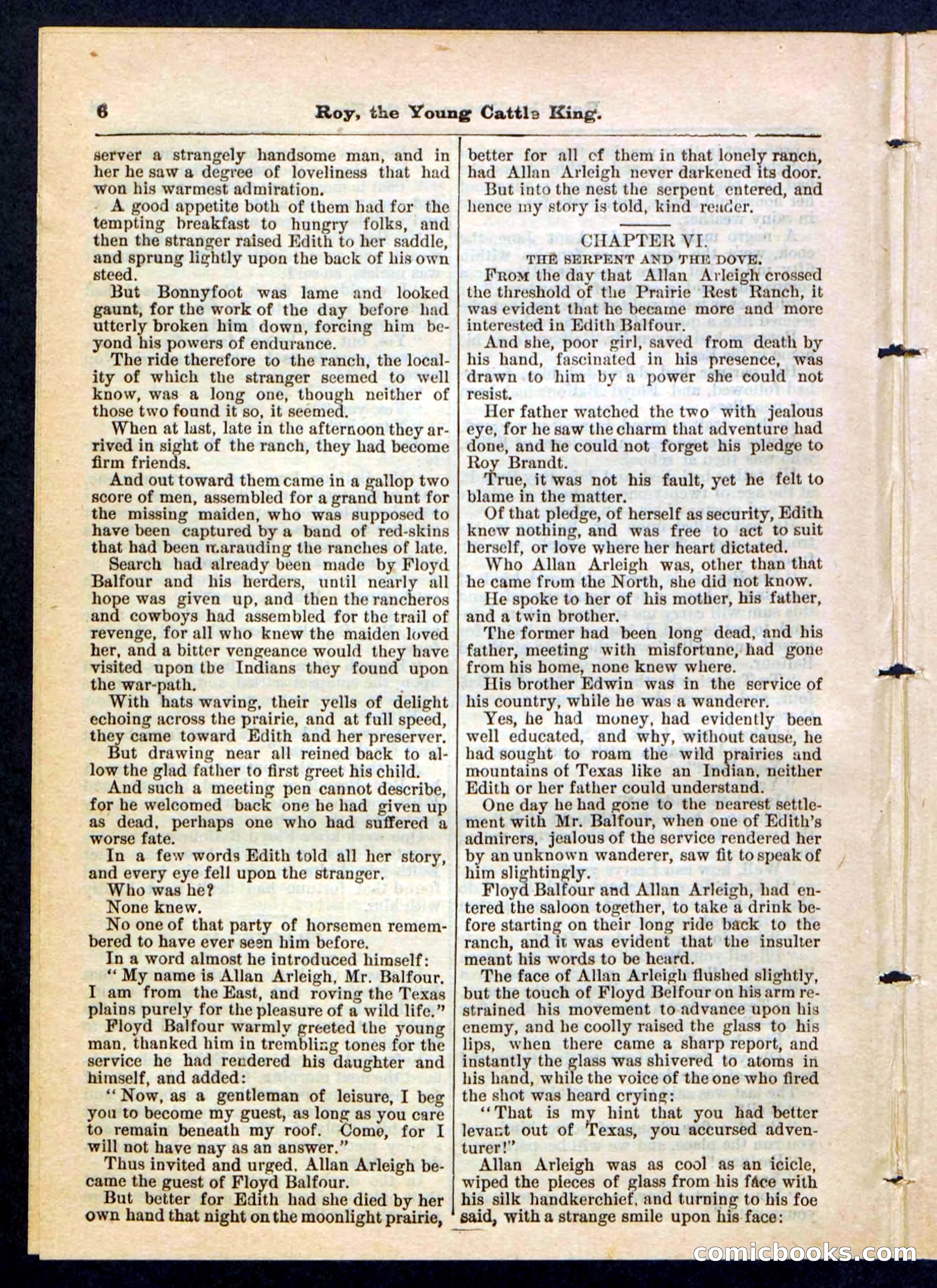 Beadle's Pocket Library, No. 197 — page 6 of 32