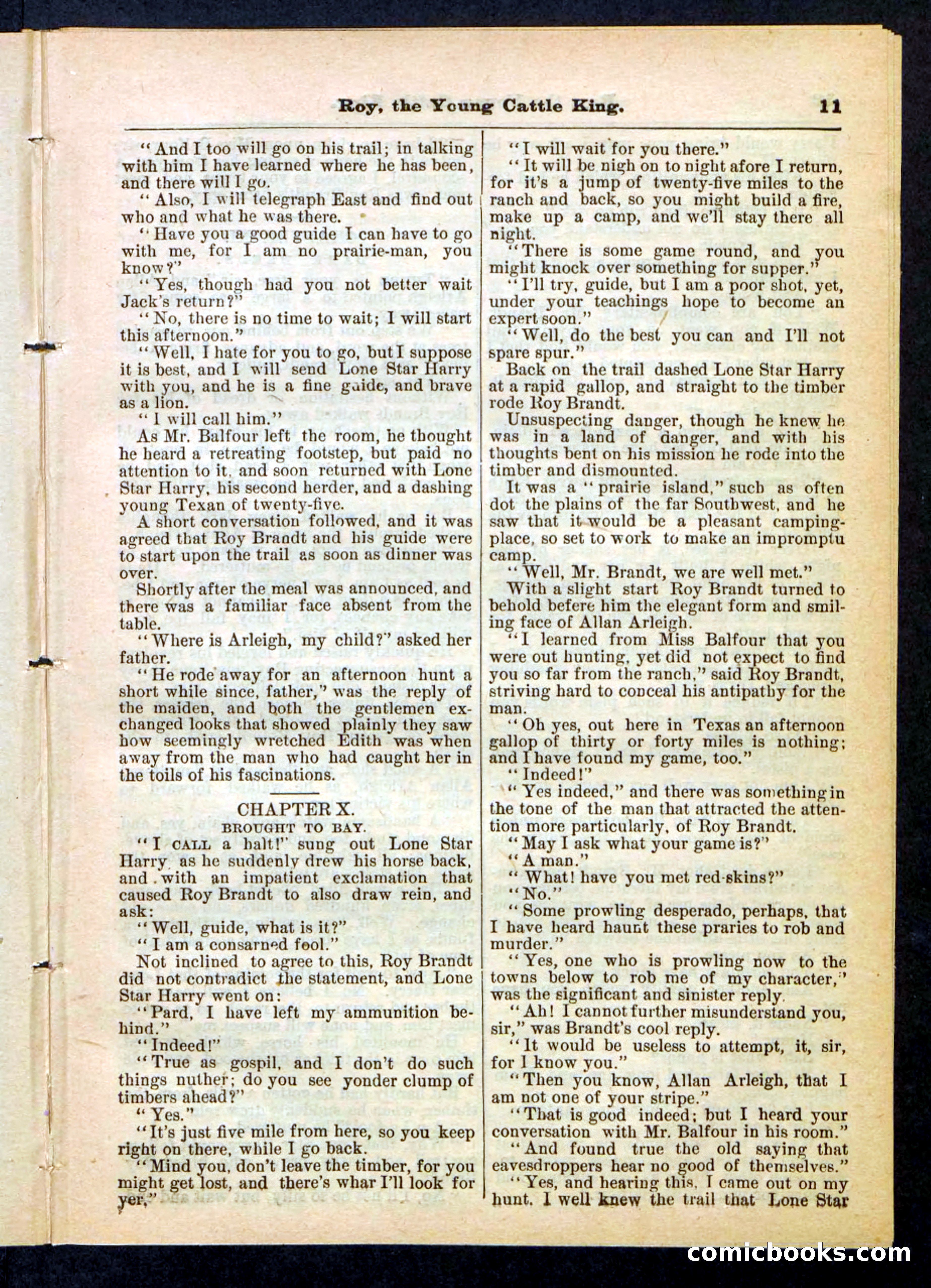 Beadle's Pocket Library, No. 197 — page 11 of 32