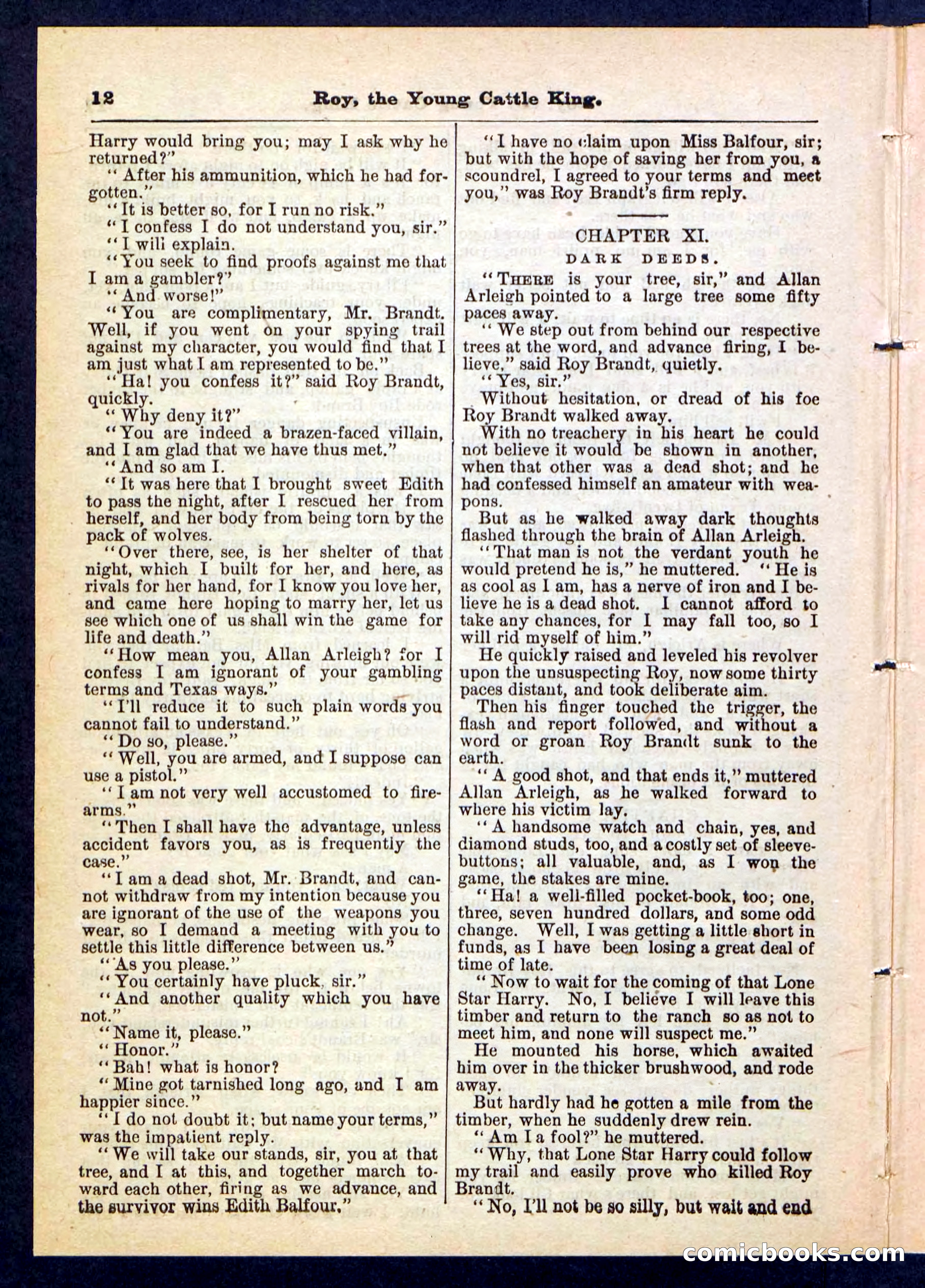 Beadle's Pocket Library, No. 197 — page 12 of 32