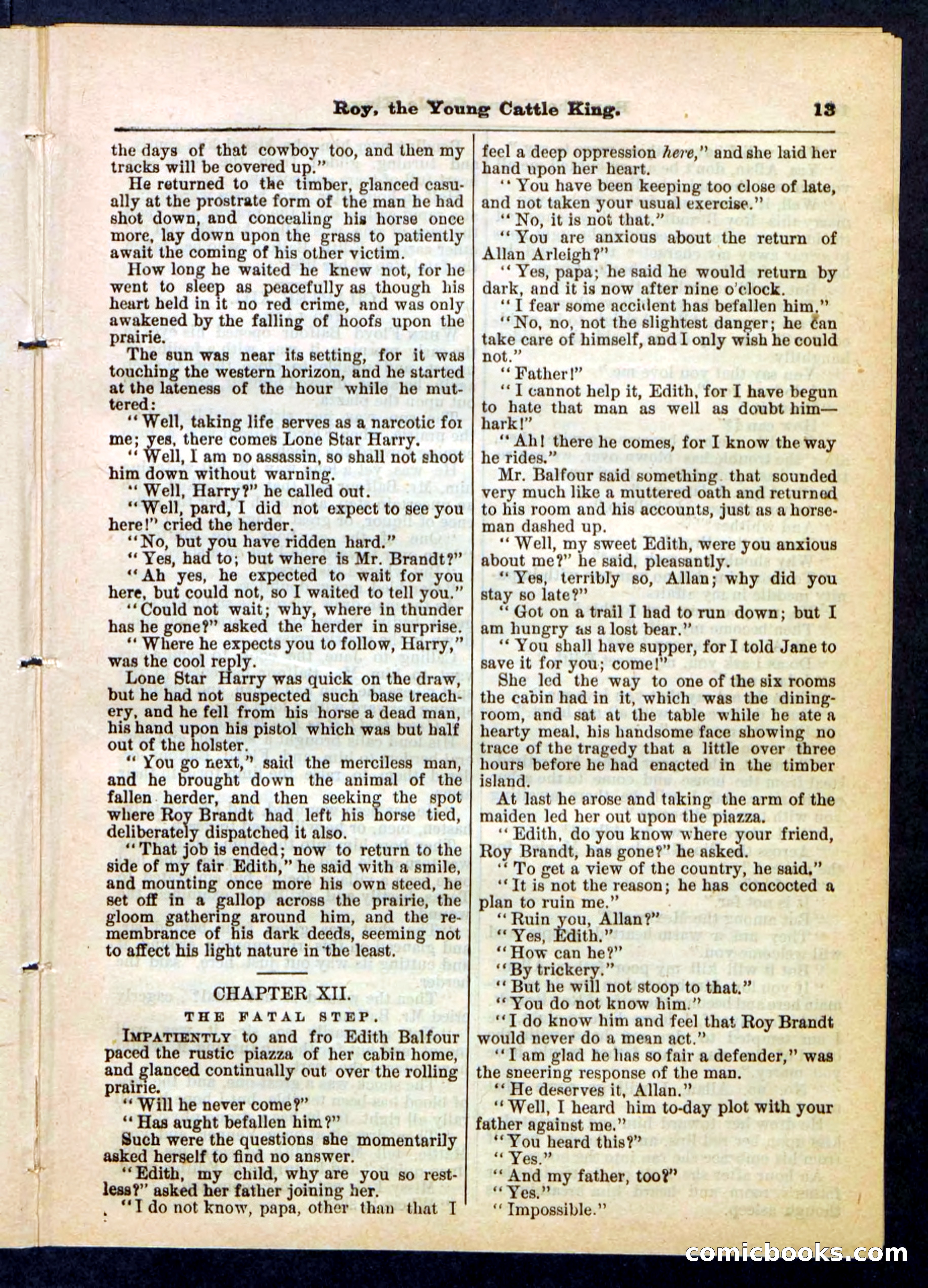Beadle's Pocket Library, No. 197 — page 13 of 32