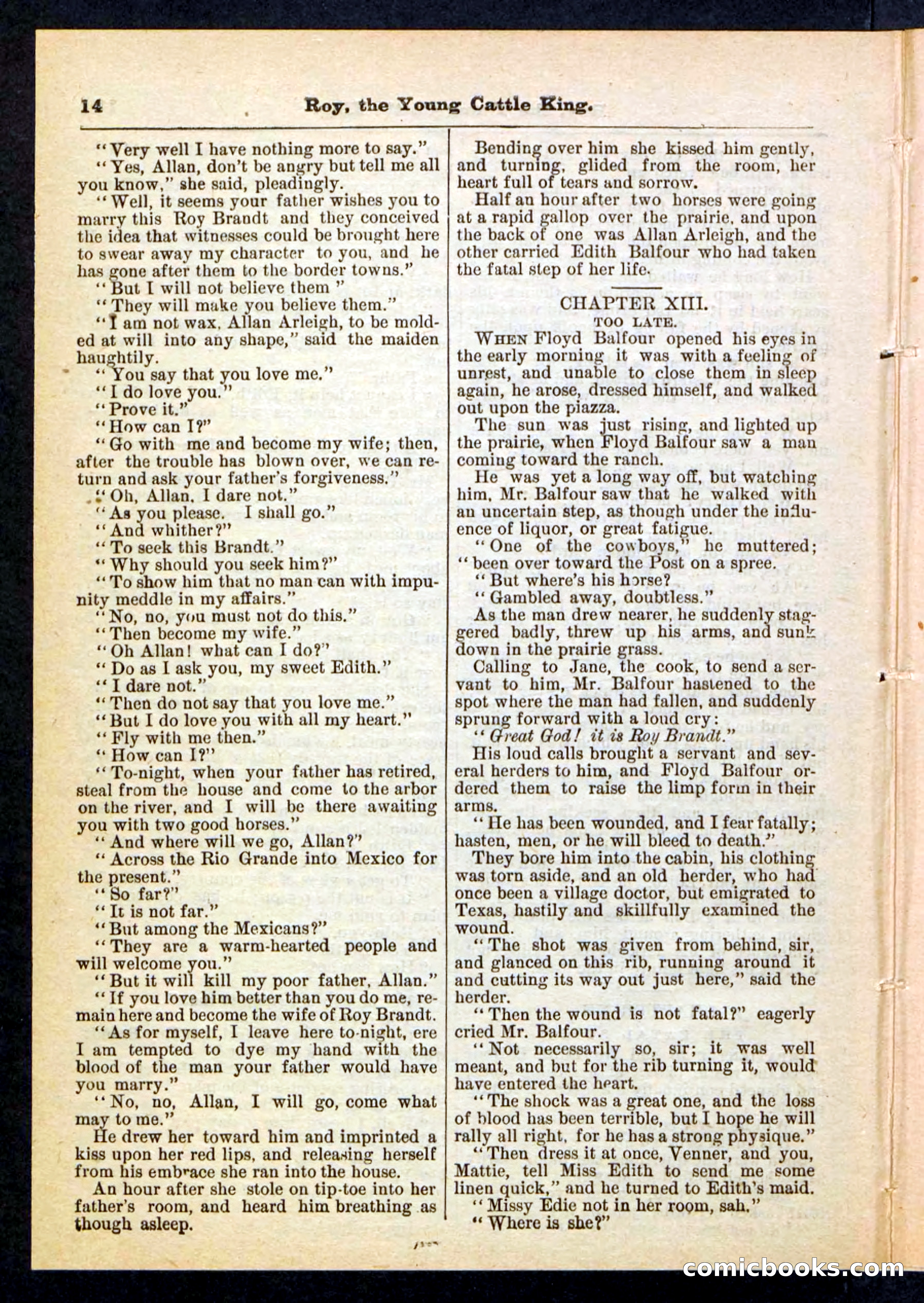 Beadle's Pocket Library, No. 197 — page 14 of 32