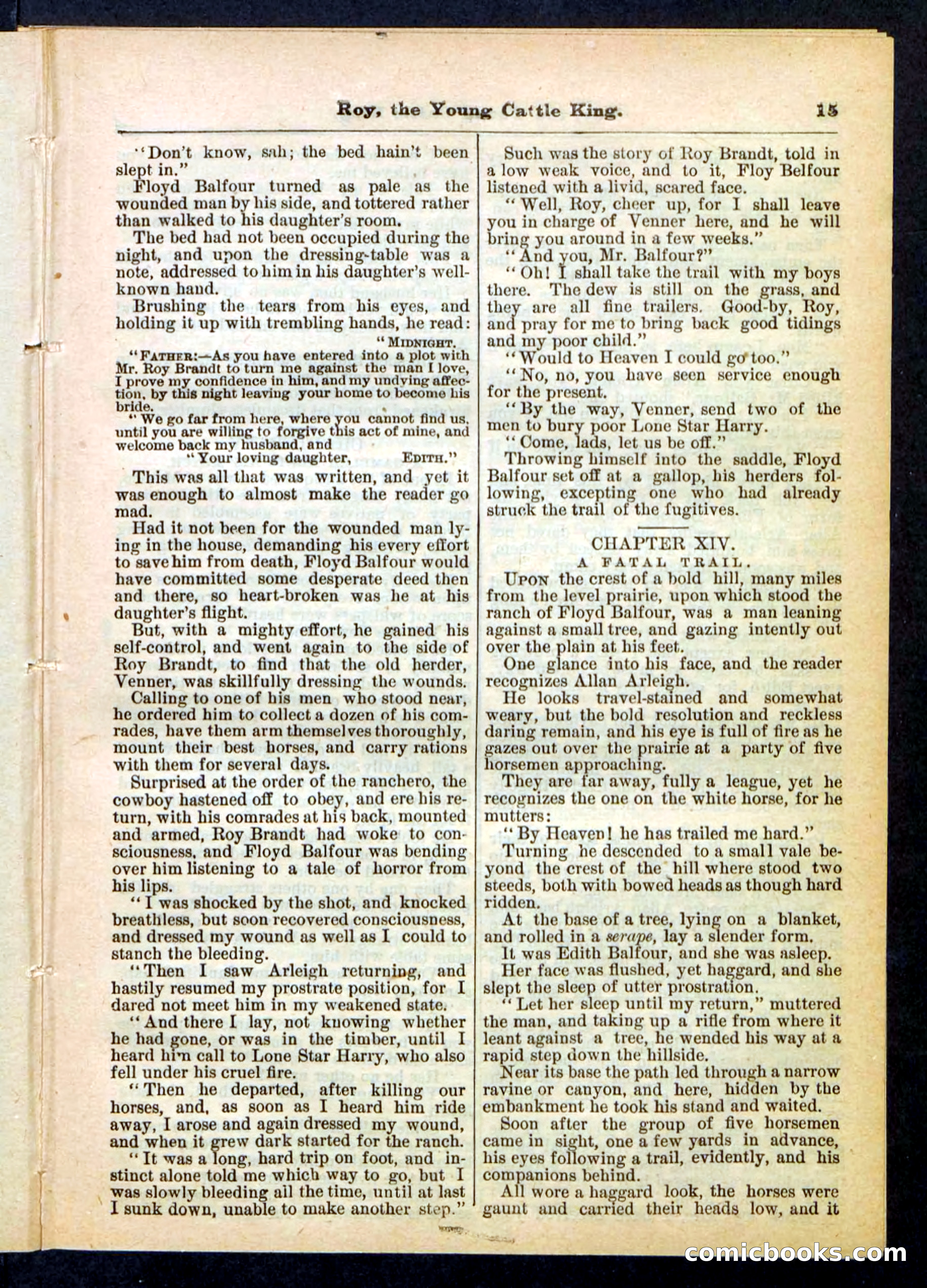 Beadle's Pocket Library, No. 197 — page 15 of 32