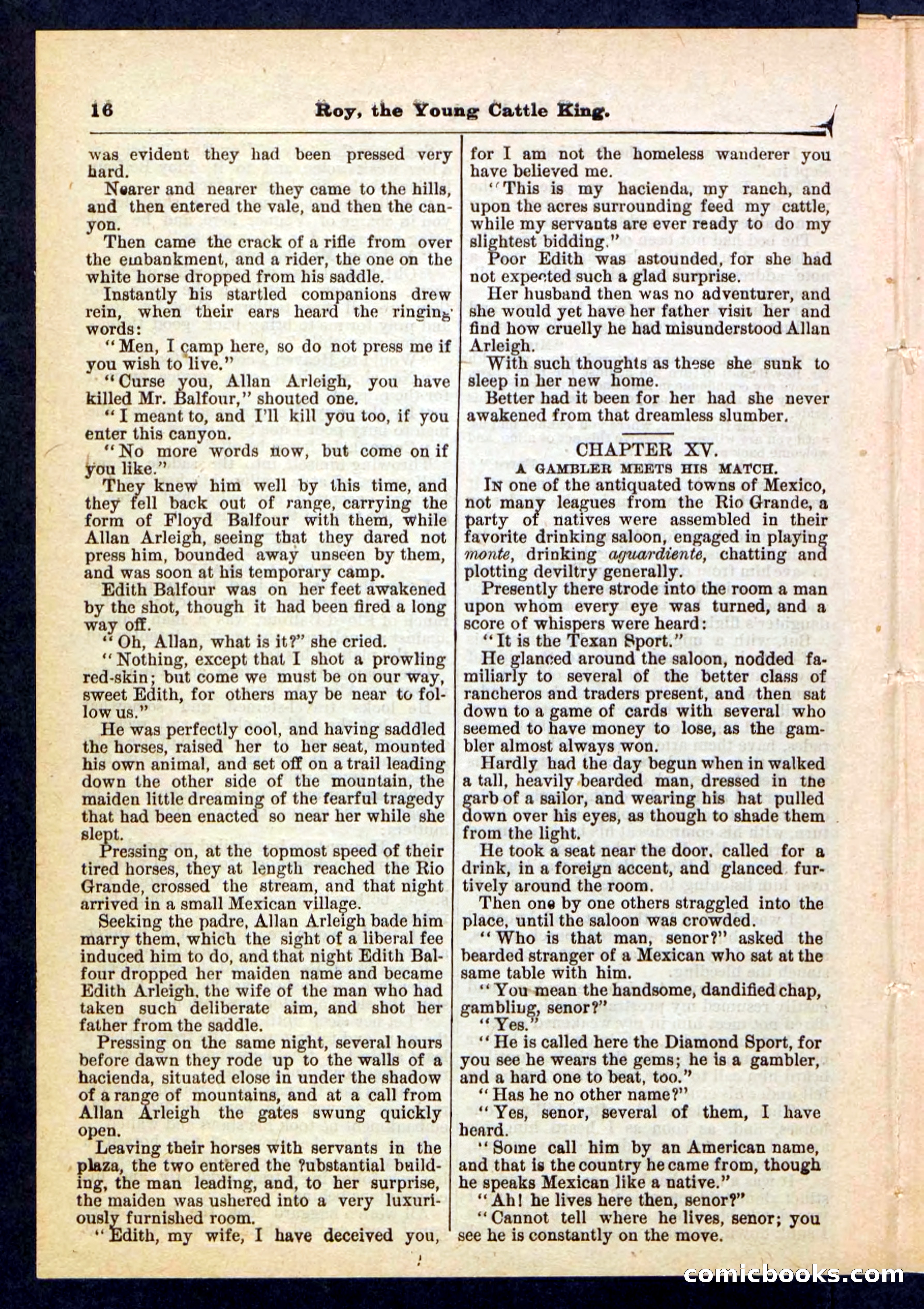 Beadle's Pocket Library, No. 197 — page 16 of 32