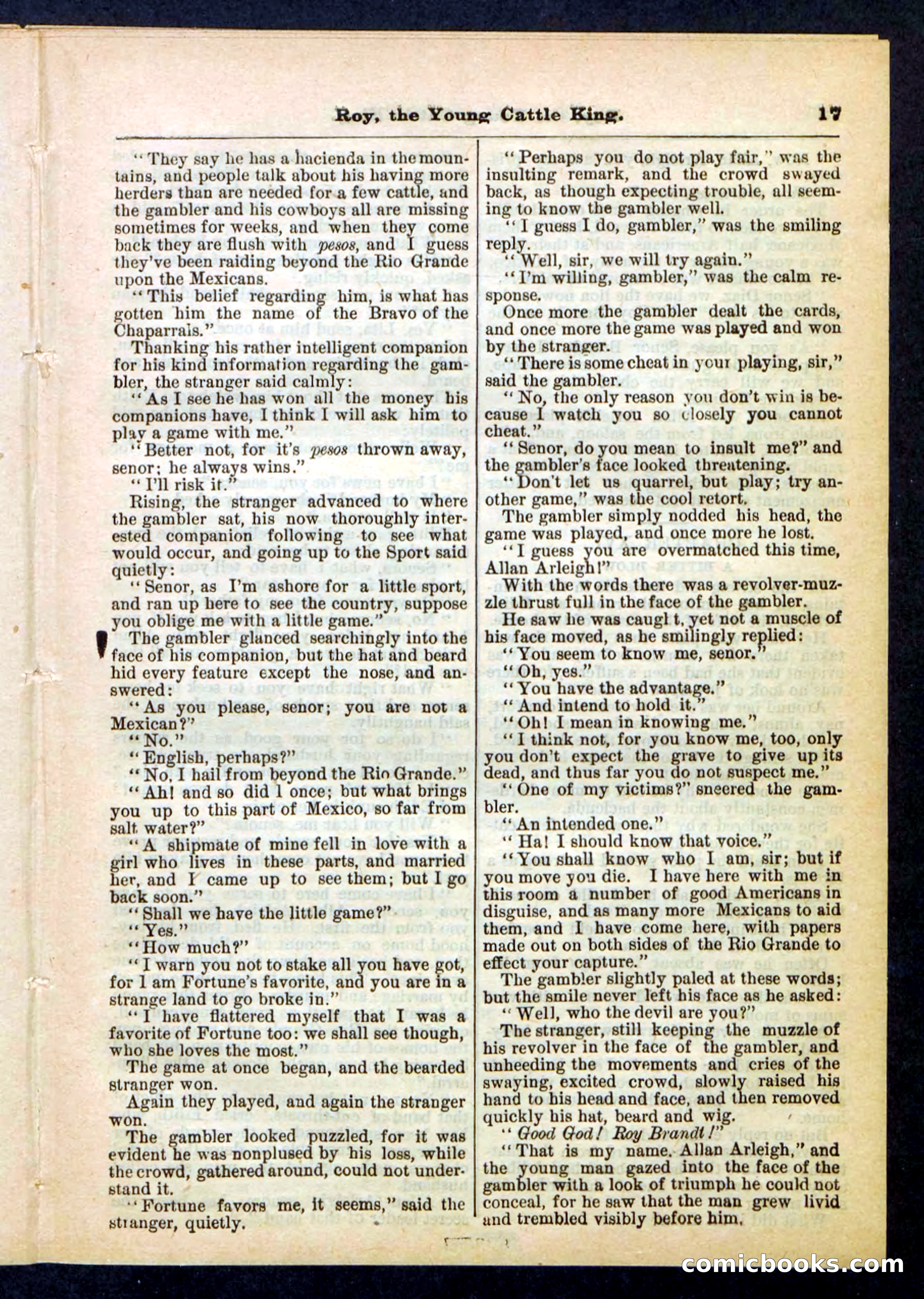 Beadle's Pocket Library, No. 197 — page 17 of 32