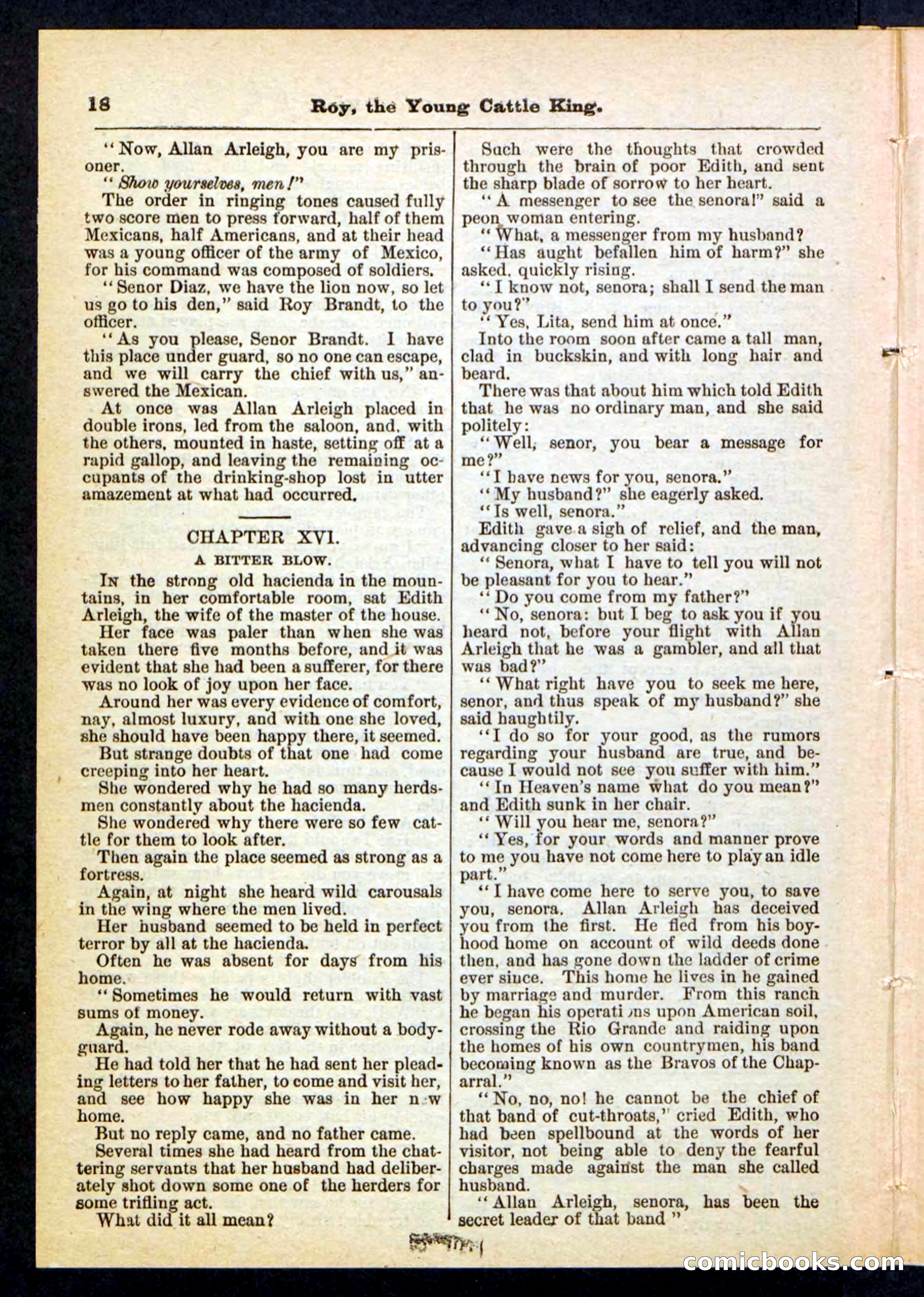 Beadle's Pocket Library, No. 197 — page 18 of 32