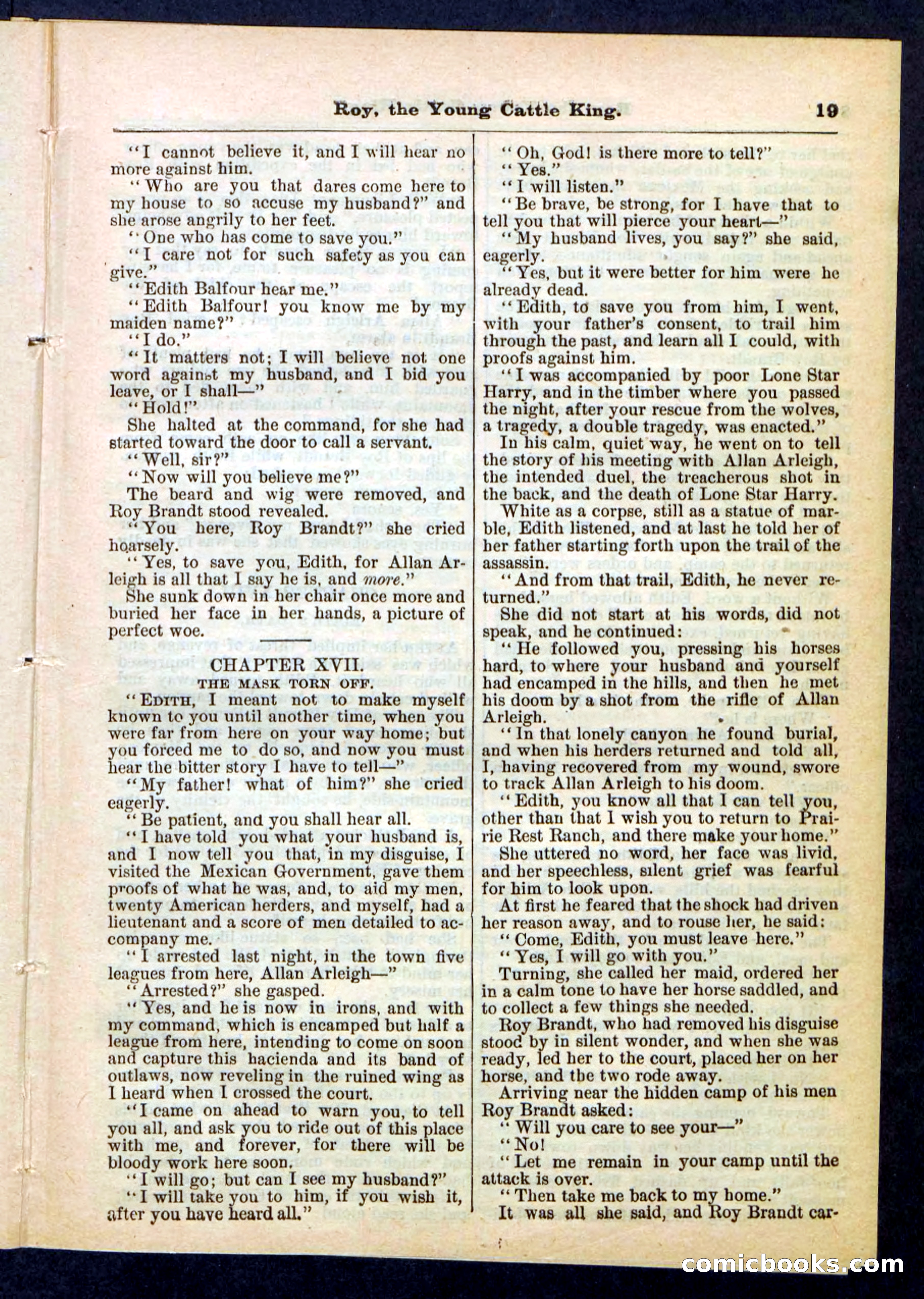 Beadle's Pocket Library, No. 197 — page 19 of 32