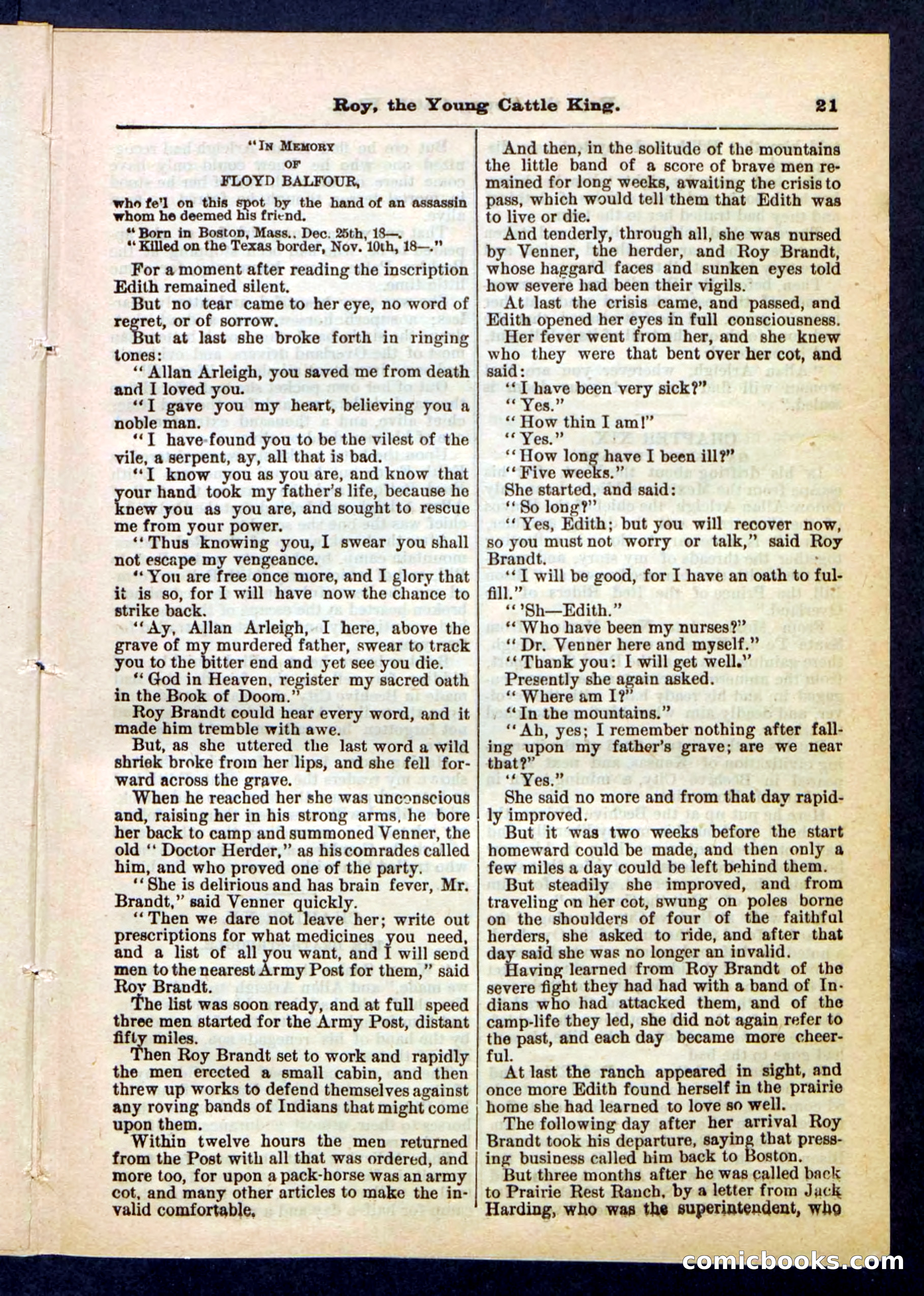 Beadle's Pocket Library, No. 197 — page 21 of 32