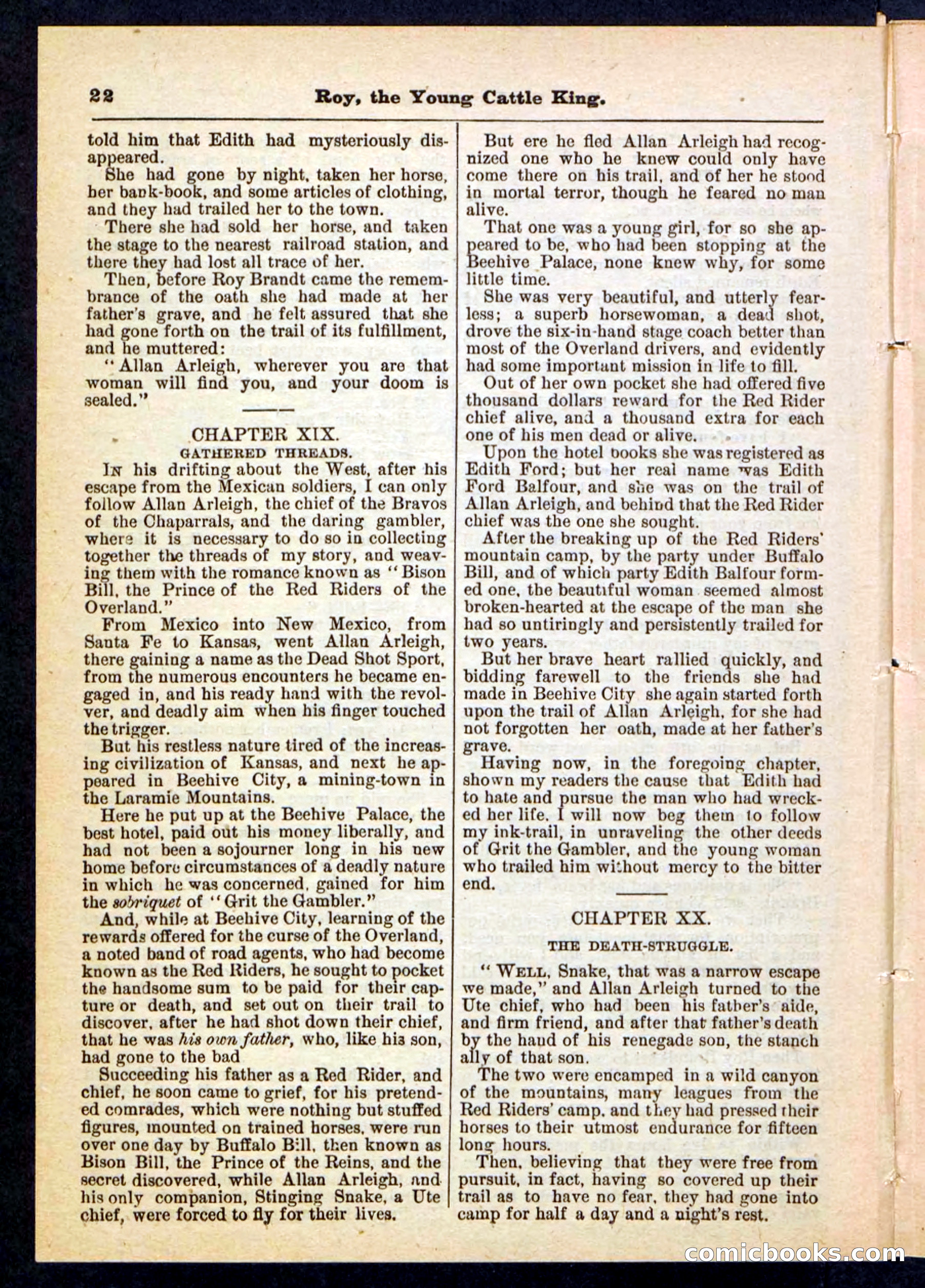 Beadle's Pocket Library, No. 197 — page 22 of 32
