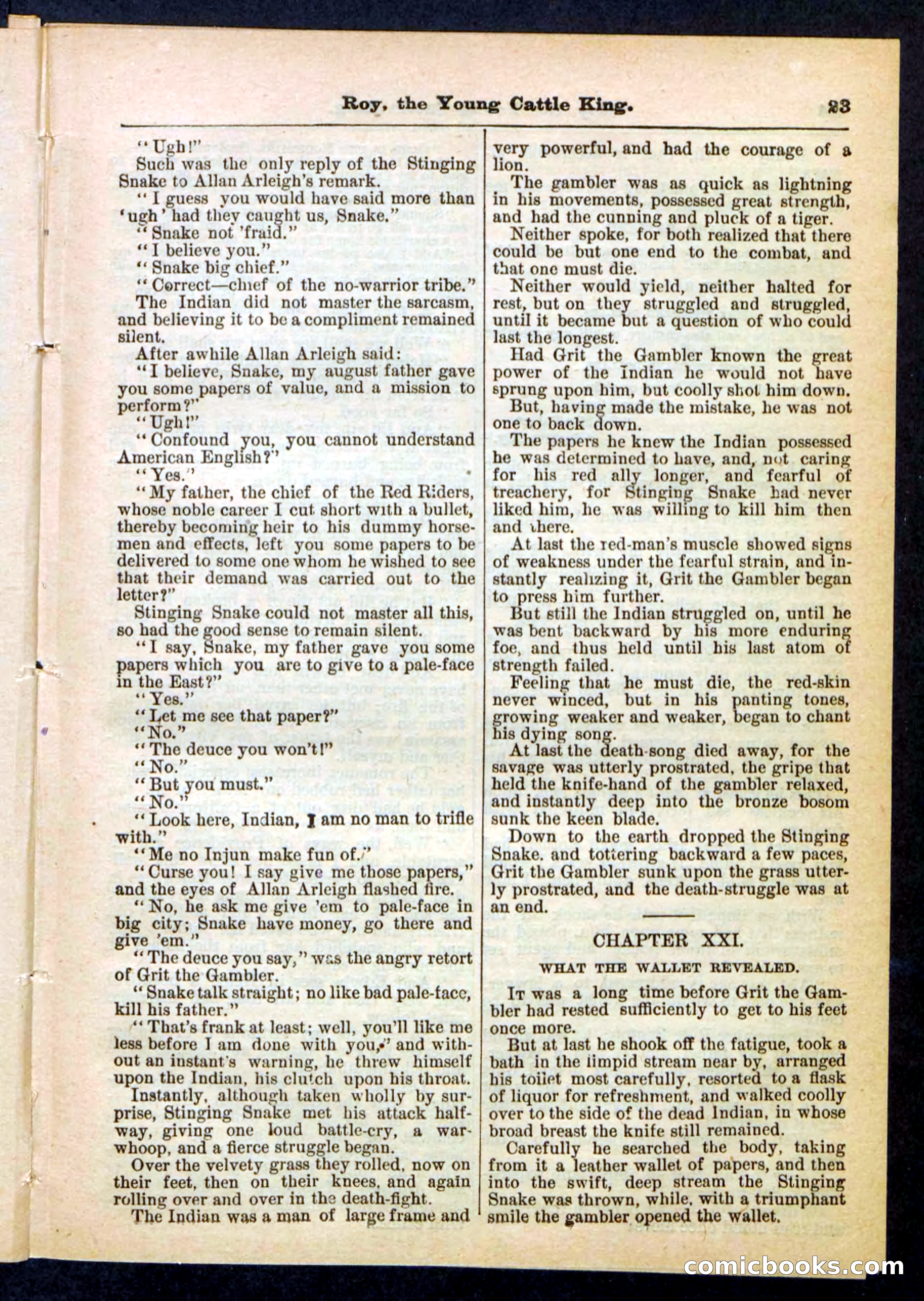 Beadle's Pocket Library, No. 197 — page 23 of 32