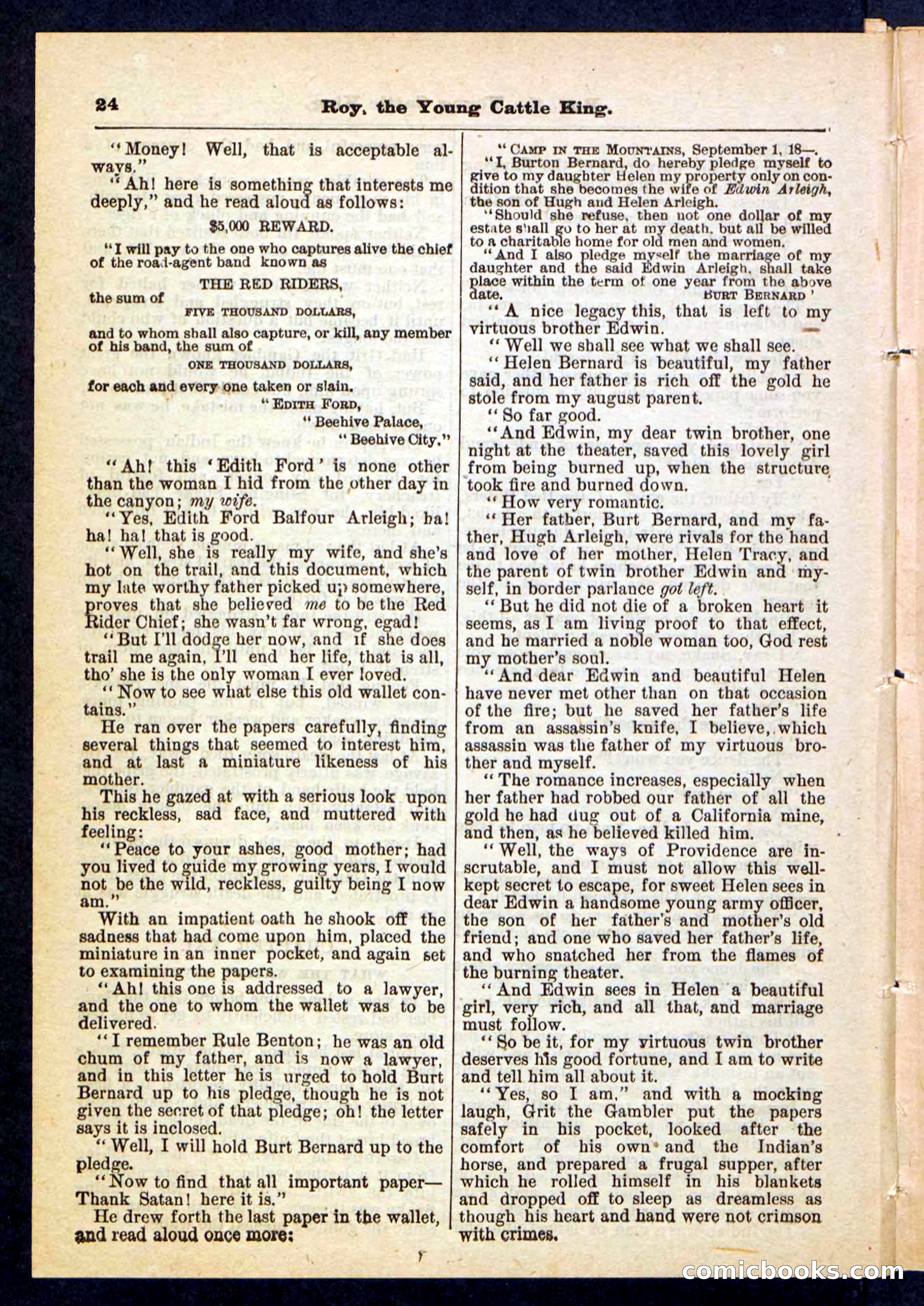 Beadle's Pocket Library, No. 197 — page 24 of 32