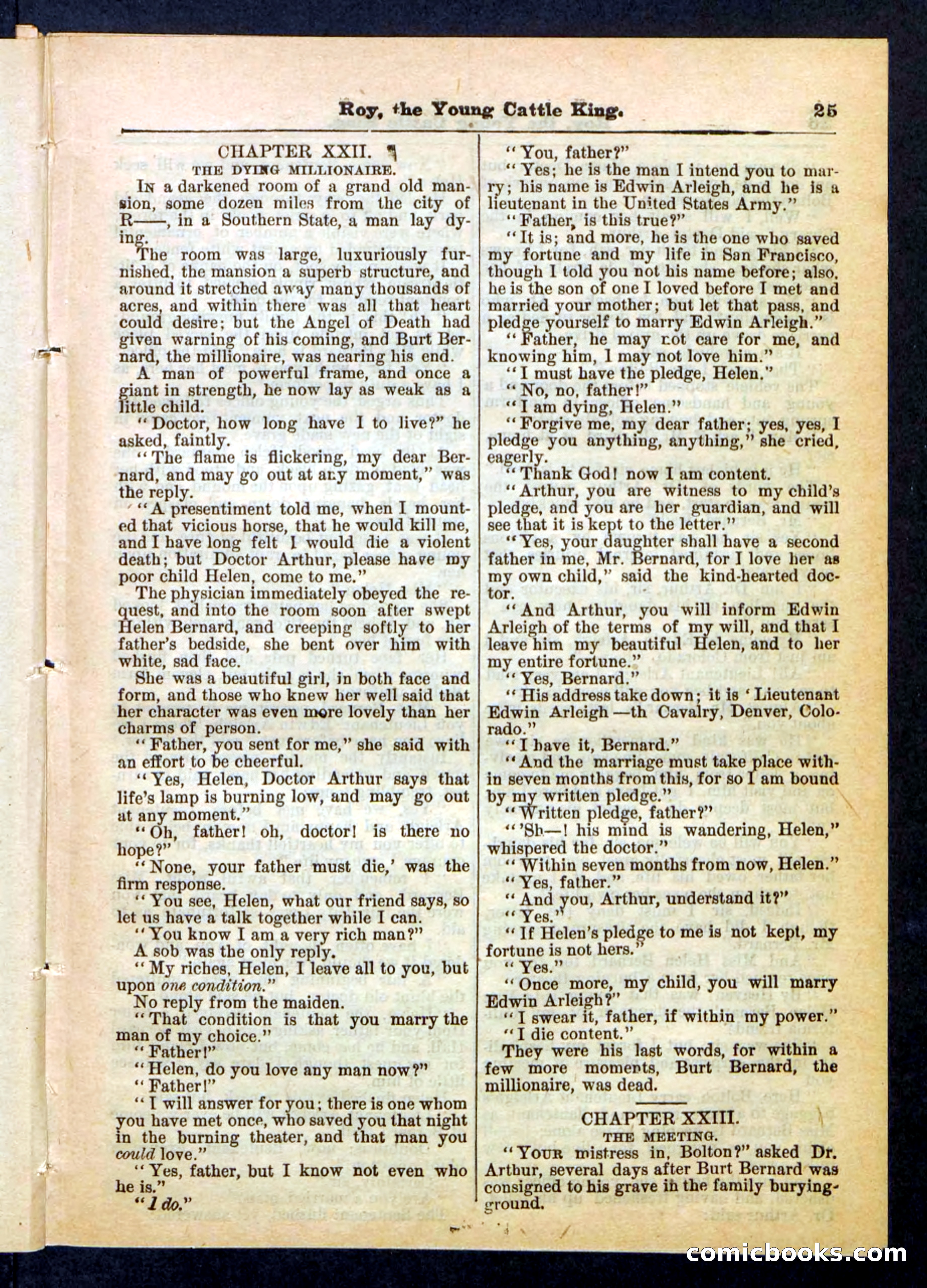 Beadle's Pocket Library, No. 197 — page 25 of 32