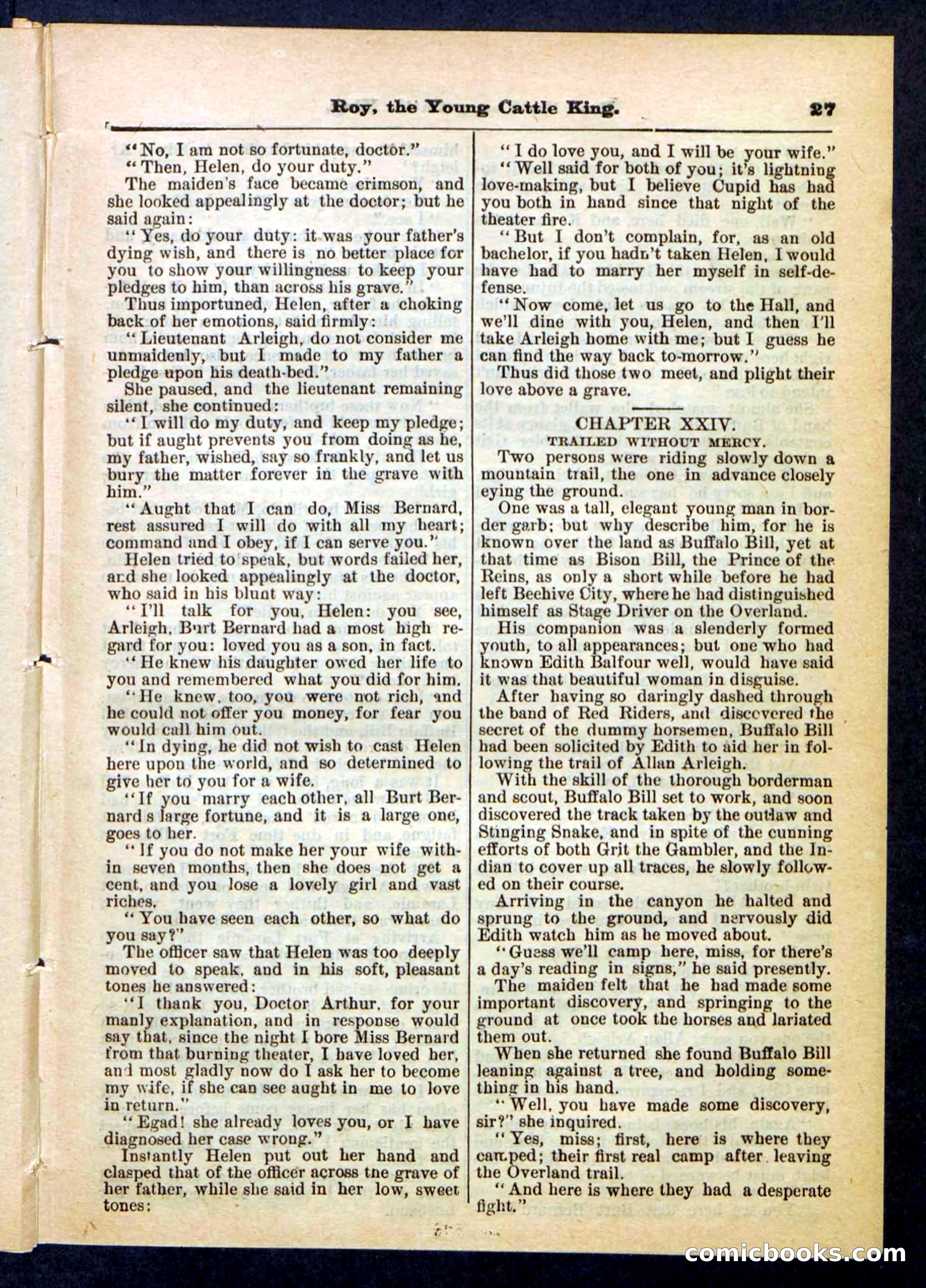Beadle's Pocket Library, No. 197 — page 27 of 32