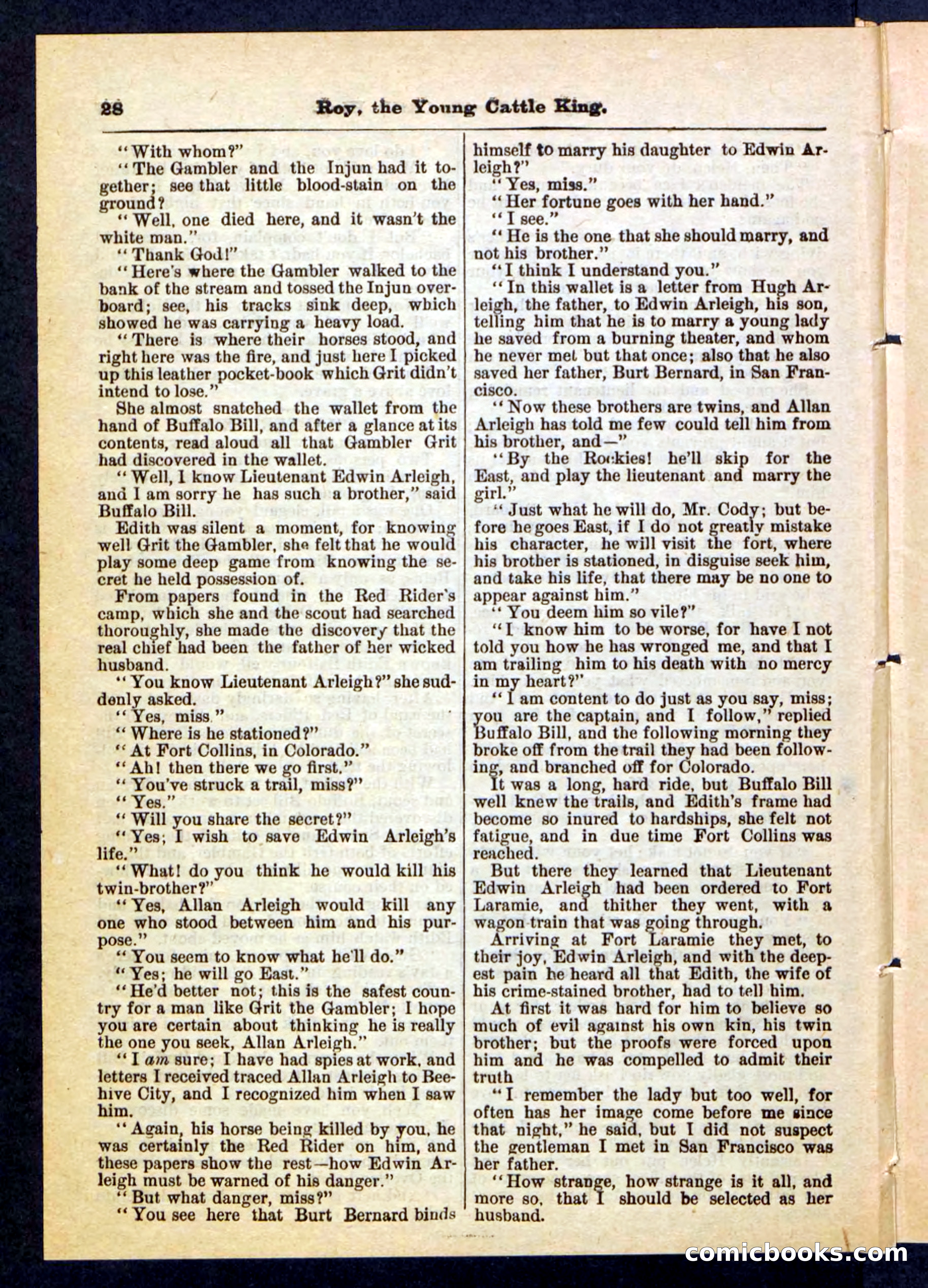 Beadle's Pocket Library, No. 197 — page 28 of 32