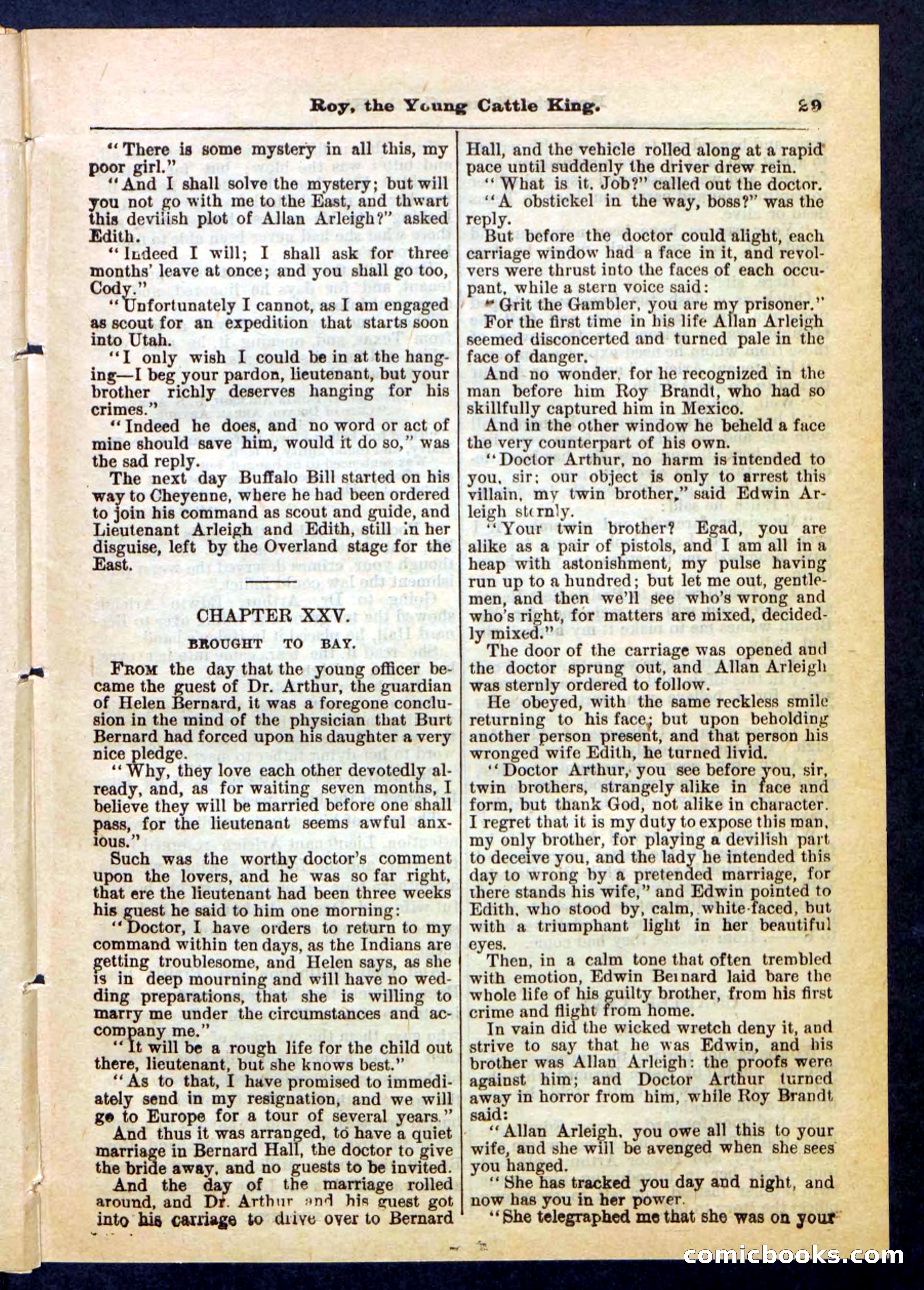 Beadle's Pocket Library, No. 197 — page 29 of 32