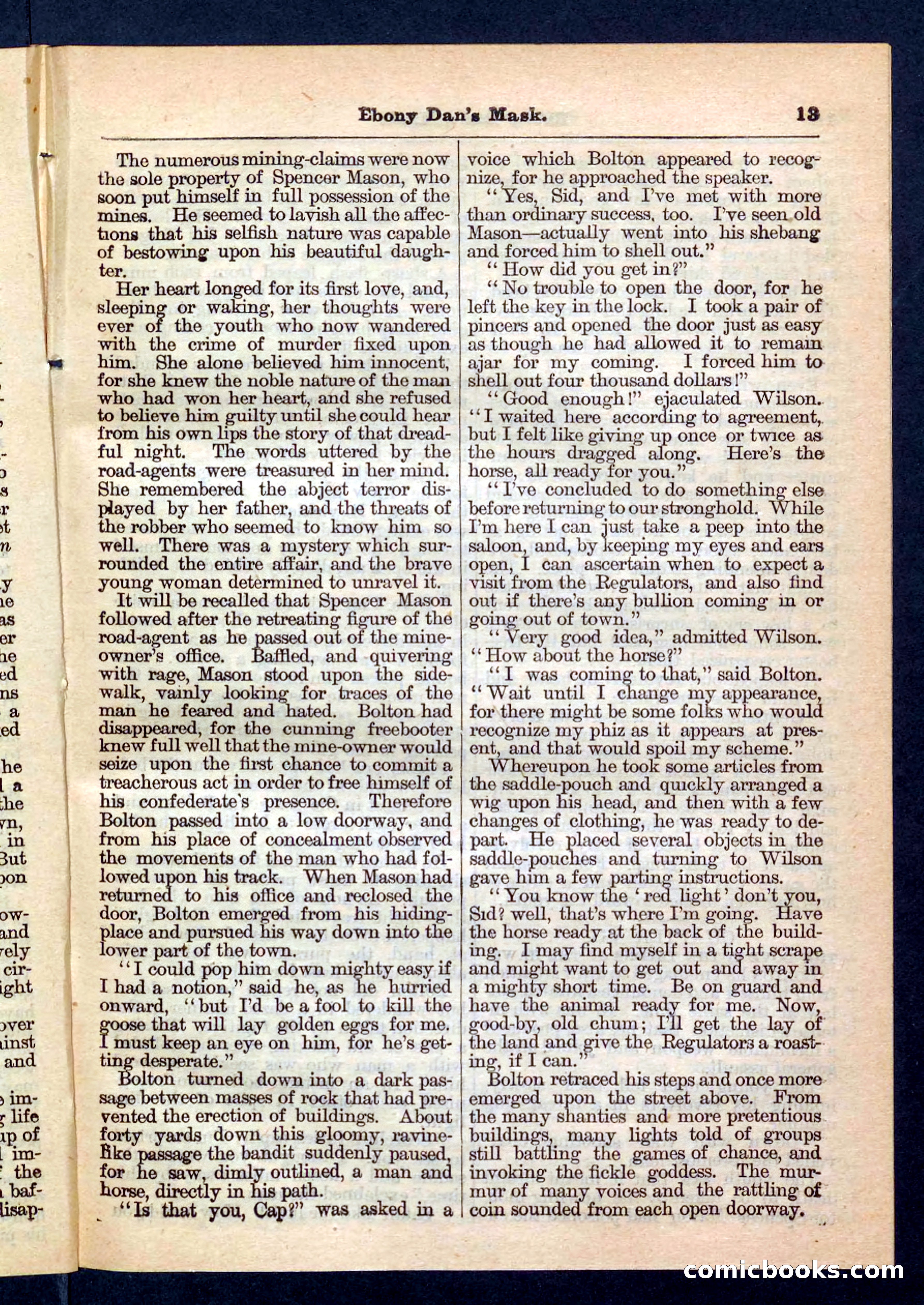 Beadle's Pocket Library No. 198 — page 13 of 32
