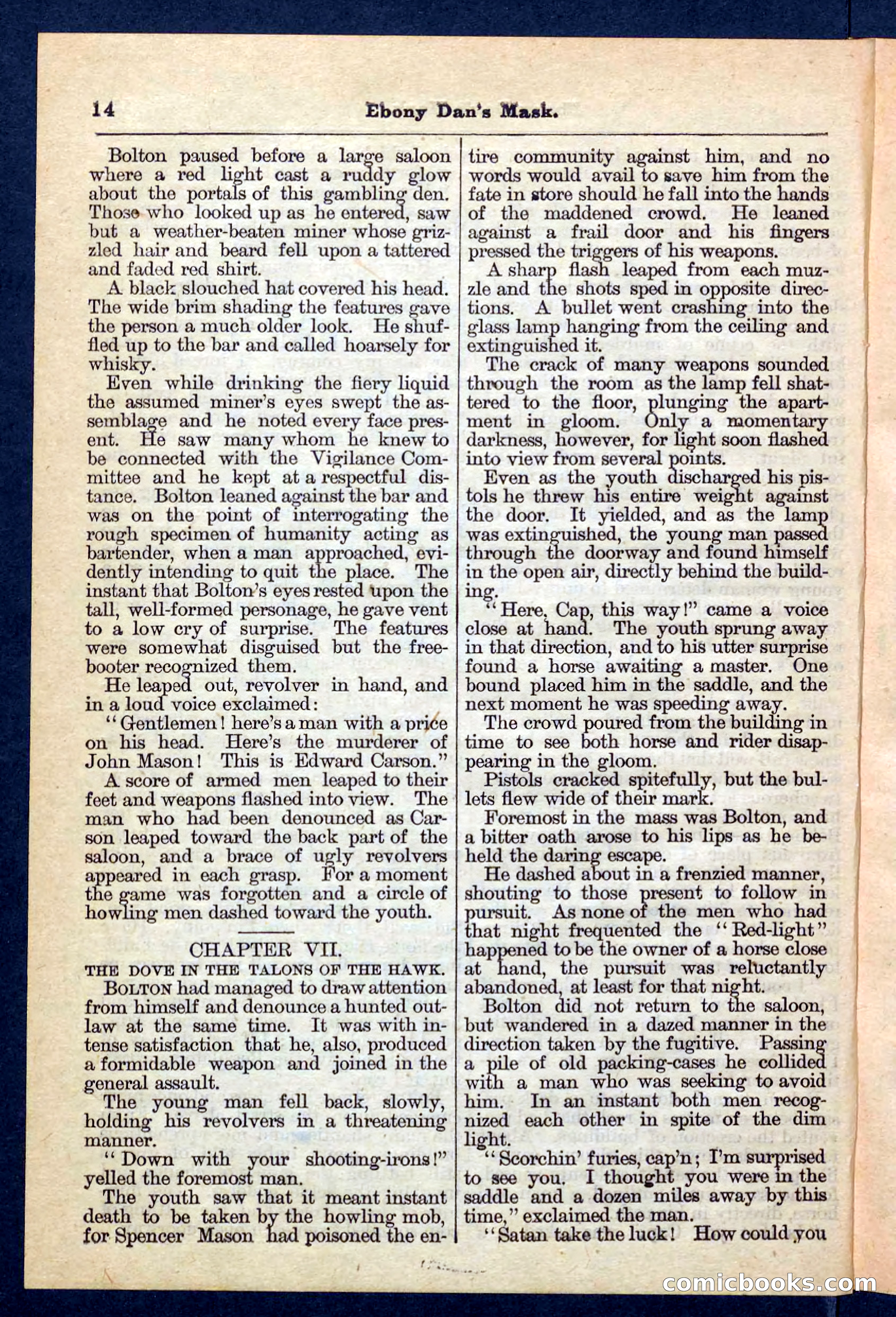 Beadle's Pocket Library No. 198 — page 14 of 32