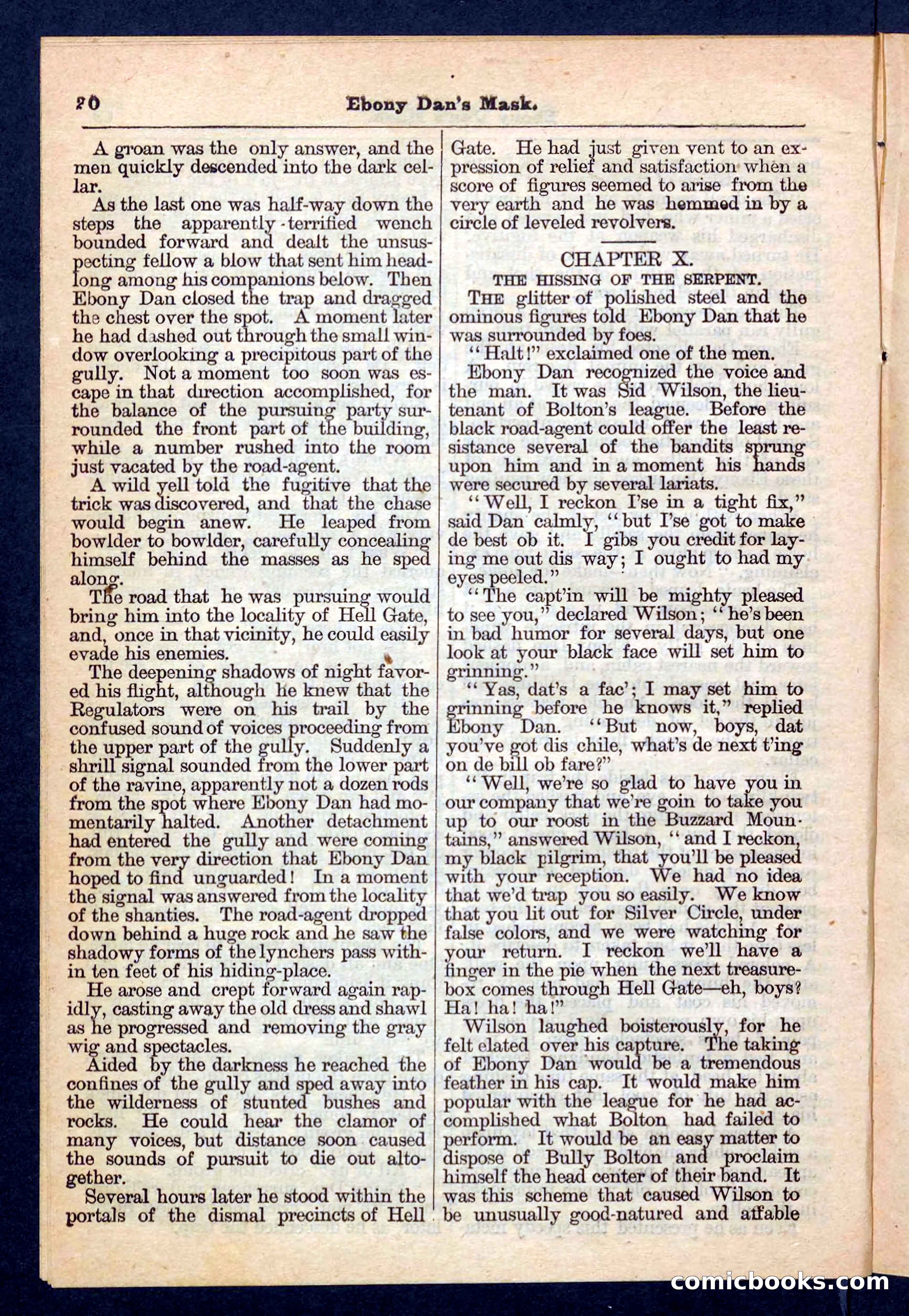 Beadle's Pocket Library No. 198 — page 20 of 32