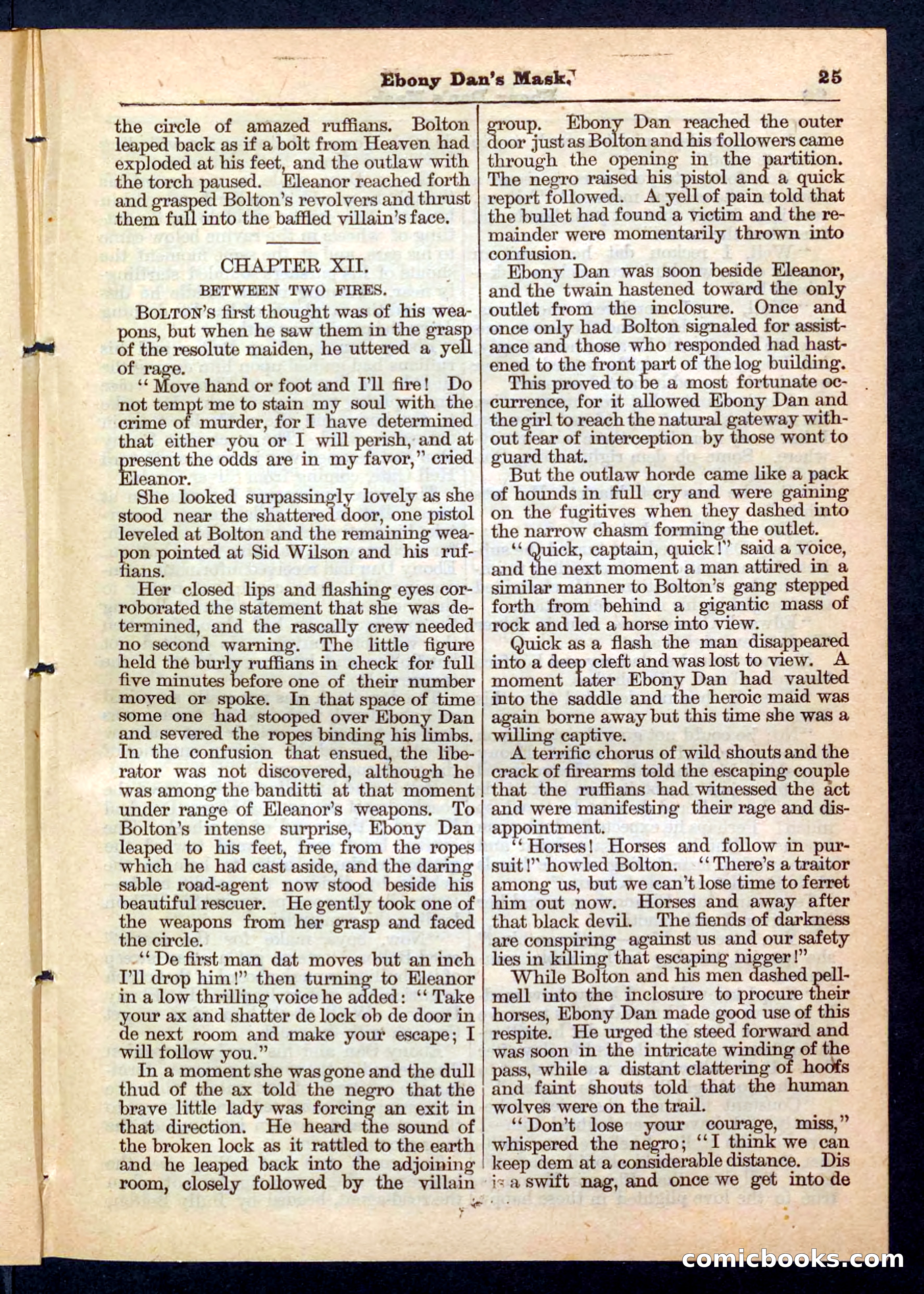 Beadle's Pocket Library No. 198 — page 25 of 32