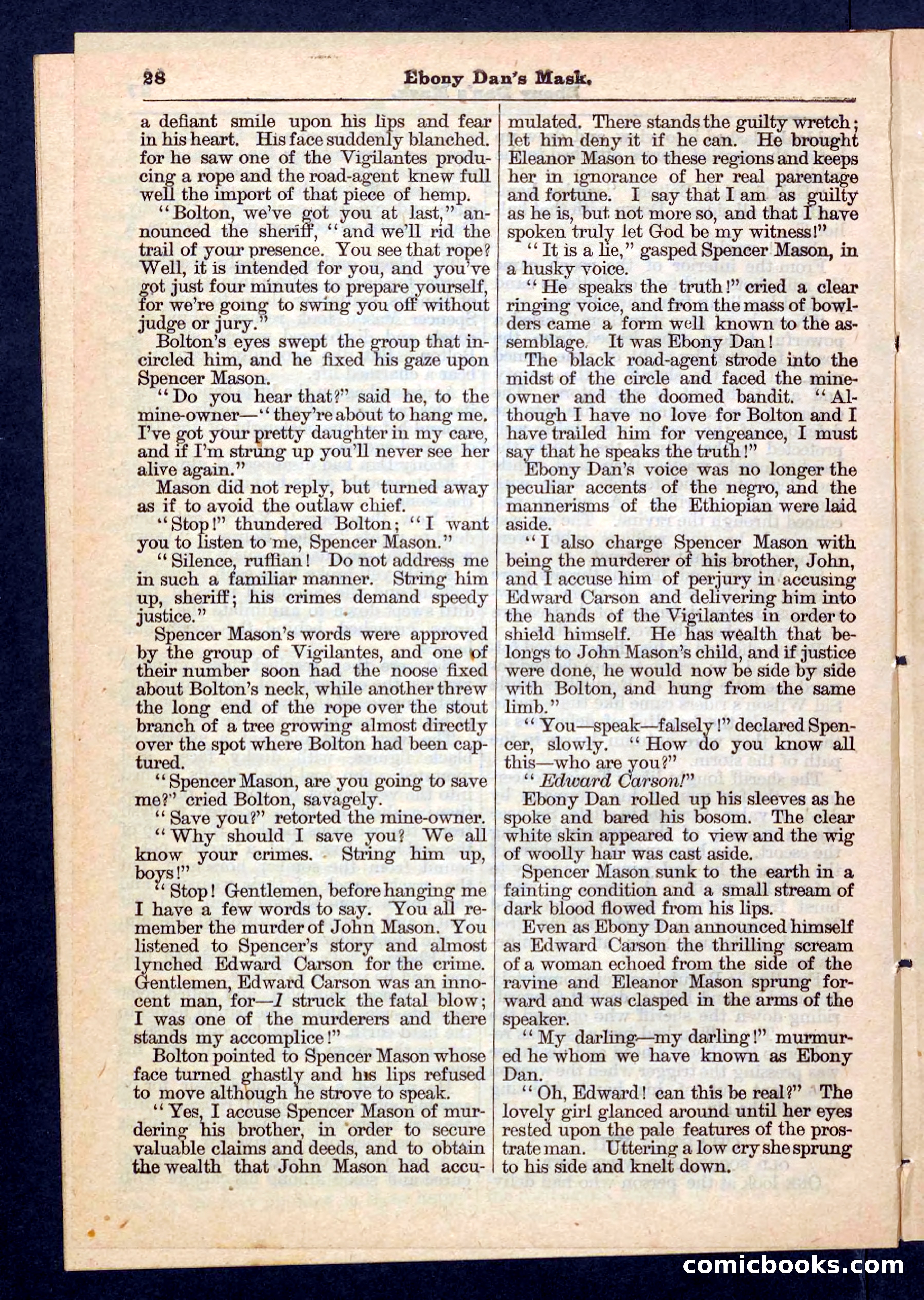 Beadle's Pocket Library No. 198 — page 28 of 32