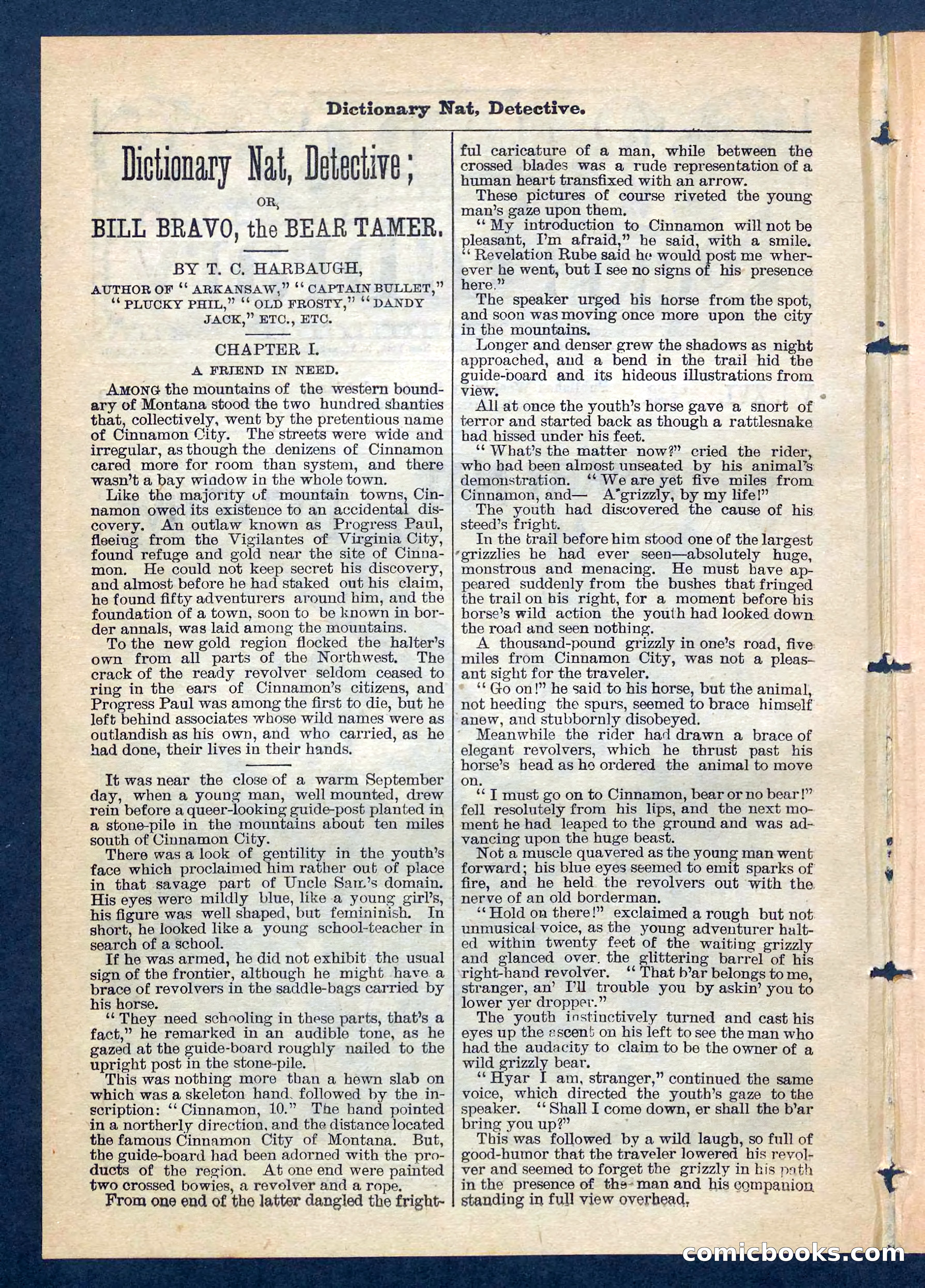Beadle's Pocket Library No. 199 — page 2 of 32