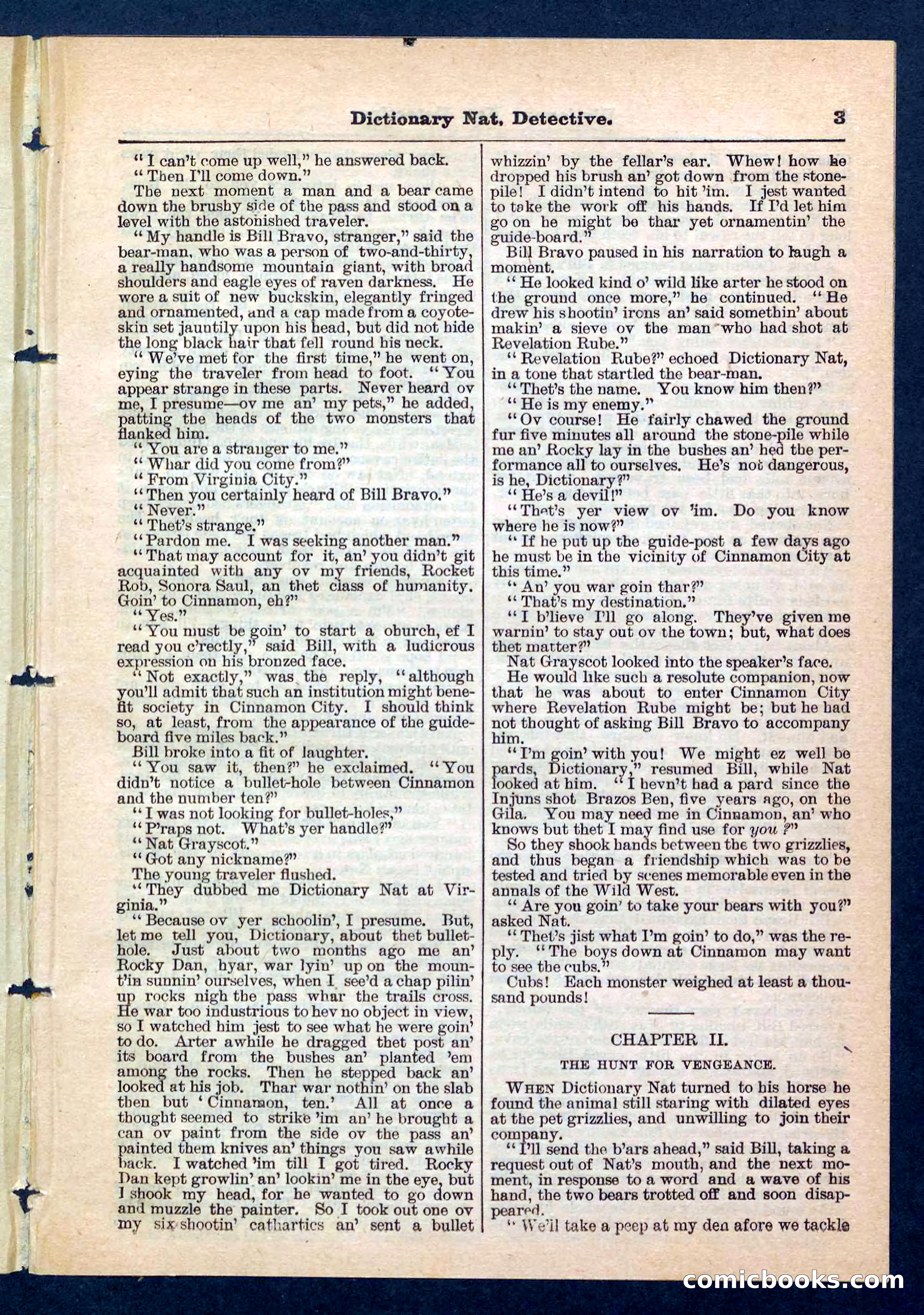 Beadle's Pocket Library No. 199 — page 3 of 32