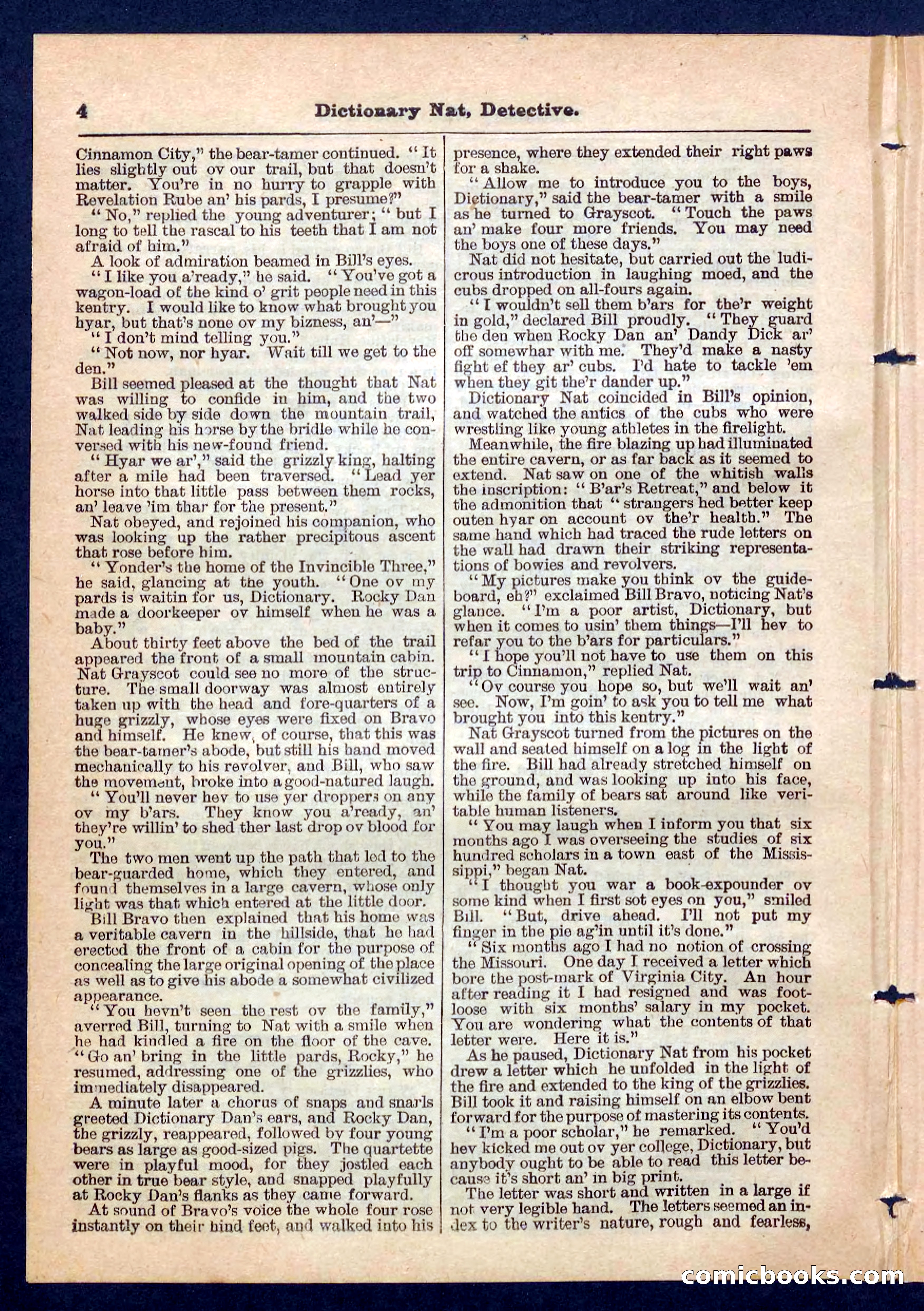 Beadle's Pocket Library No. 199 — page 4 of 32