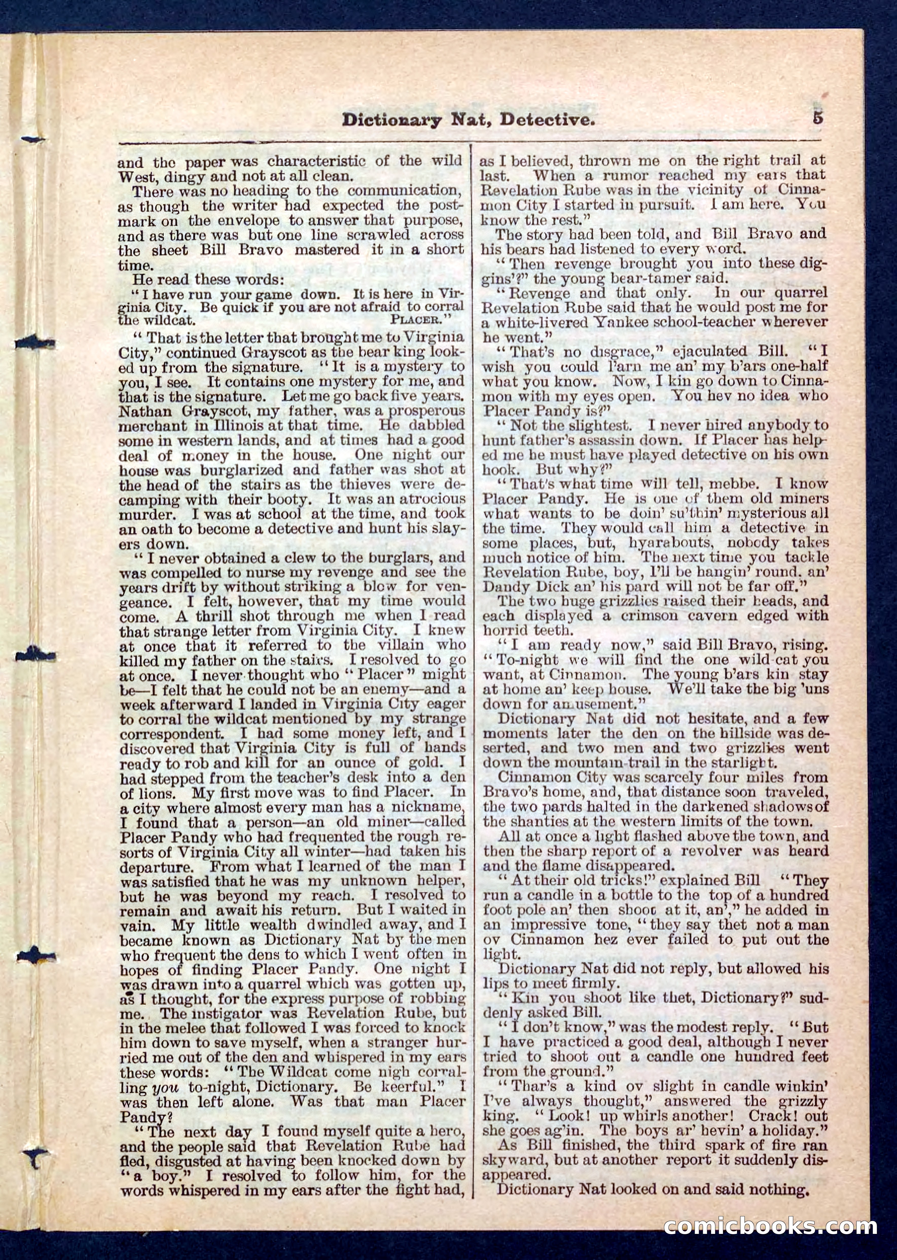 Beadle's Pocket Library No. 199 — page 5 of 32