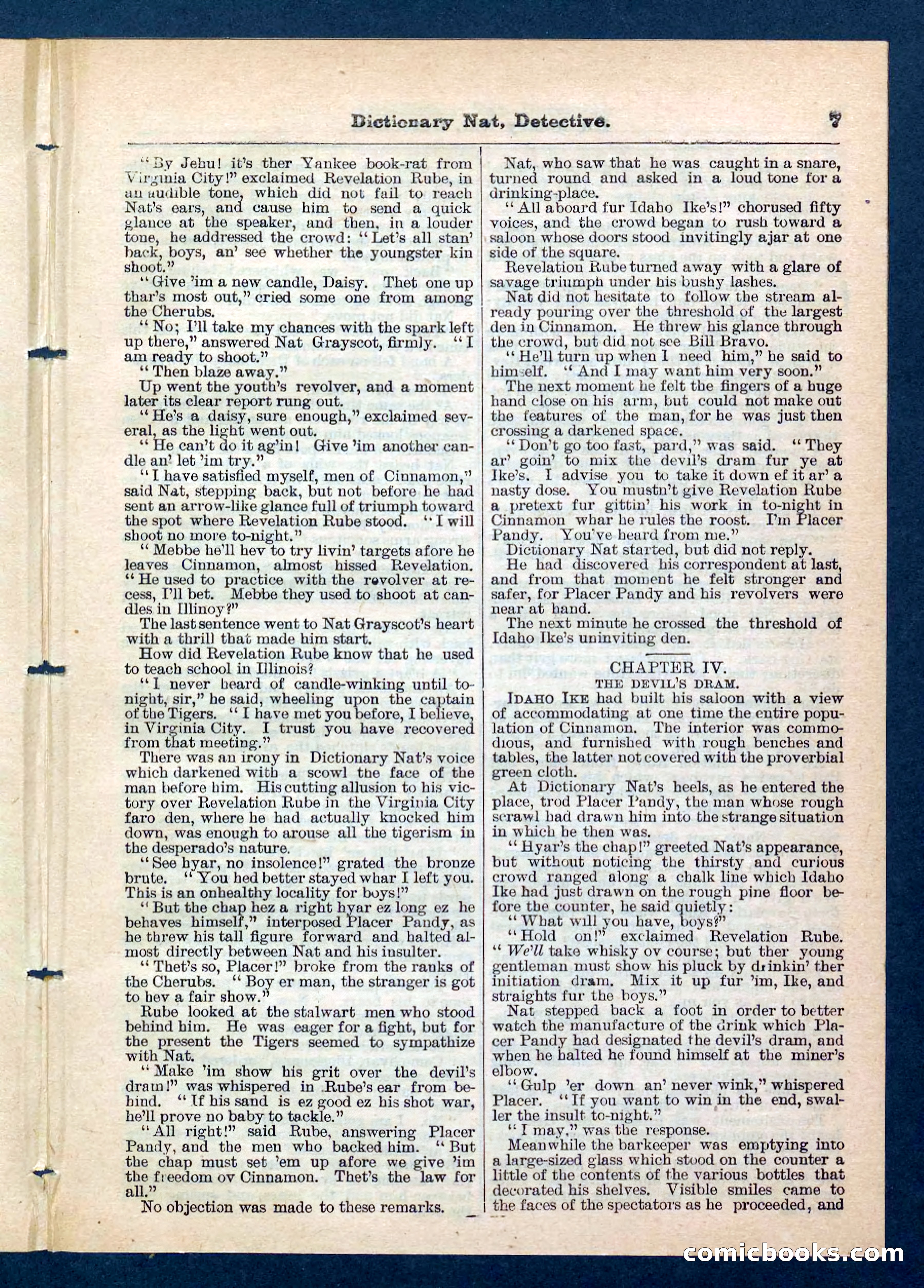 Beadle's Pocket Library No. 199 — page 7 of 32
