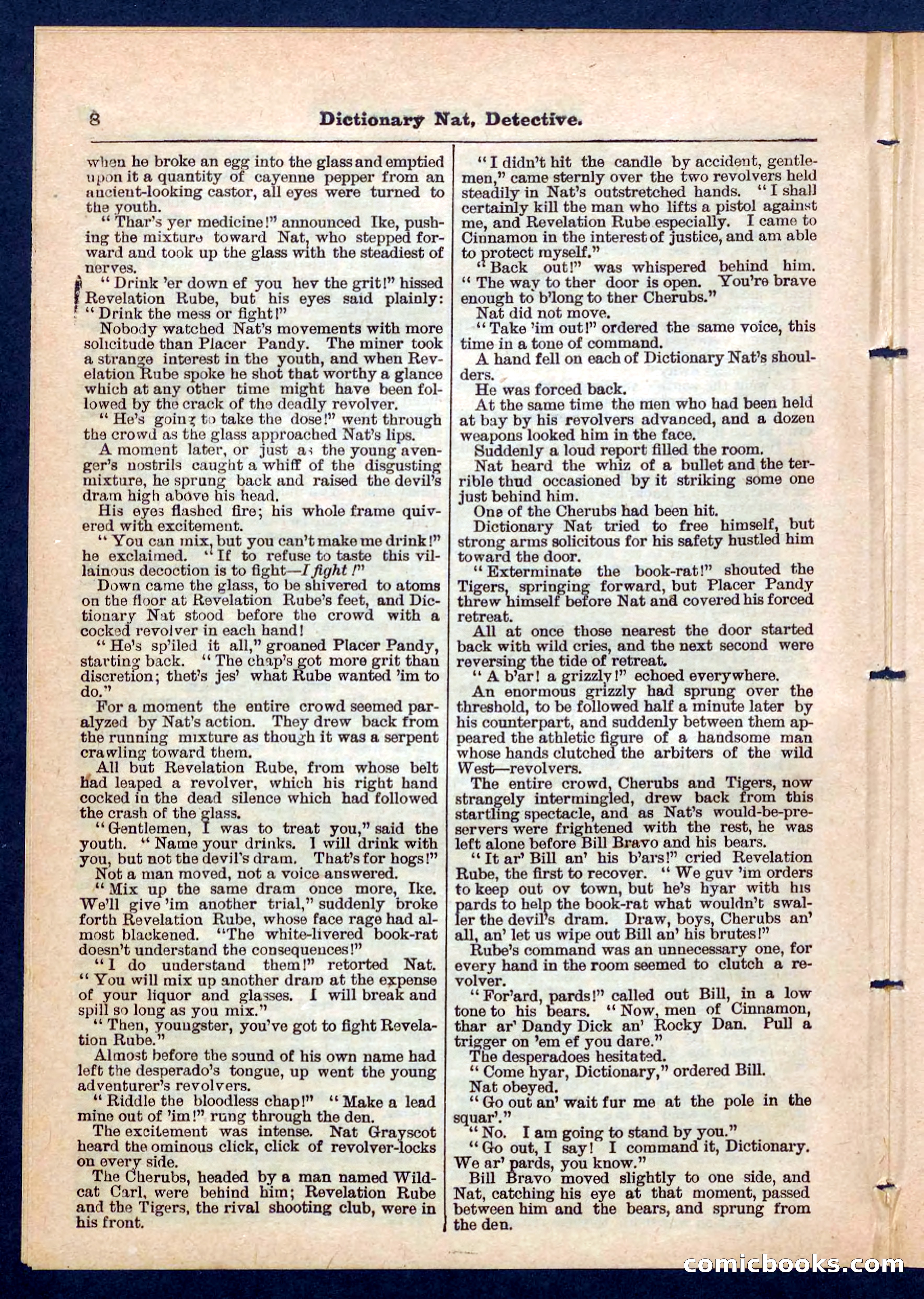 Beadle's Pocket Library No. 199 — page 8 of 32