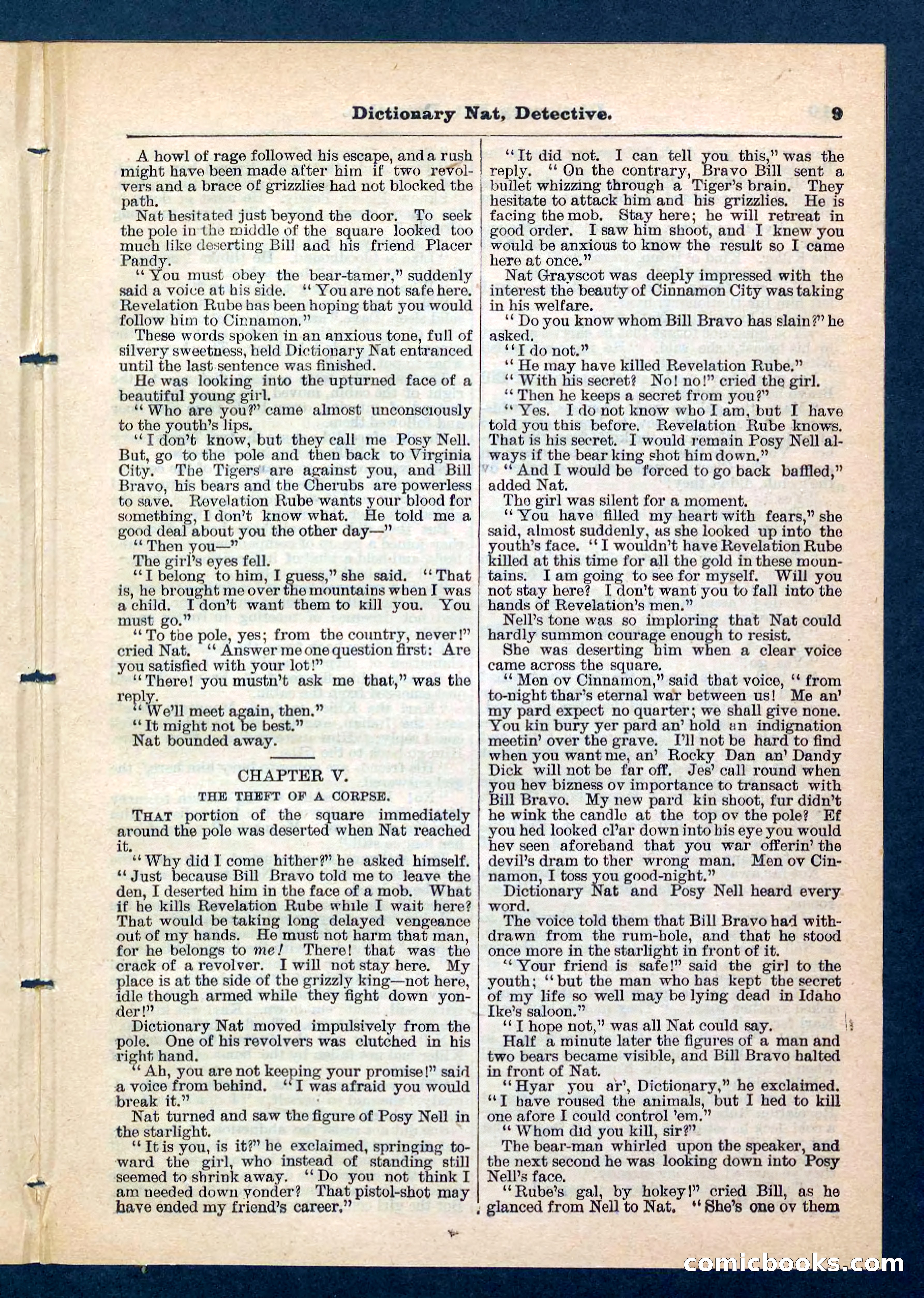 Beadle's Pocket Library No. 199 — page 9 of 32