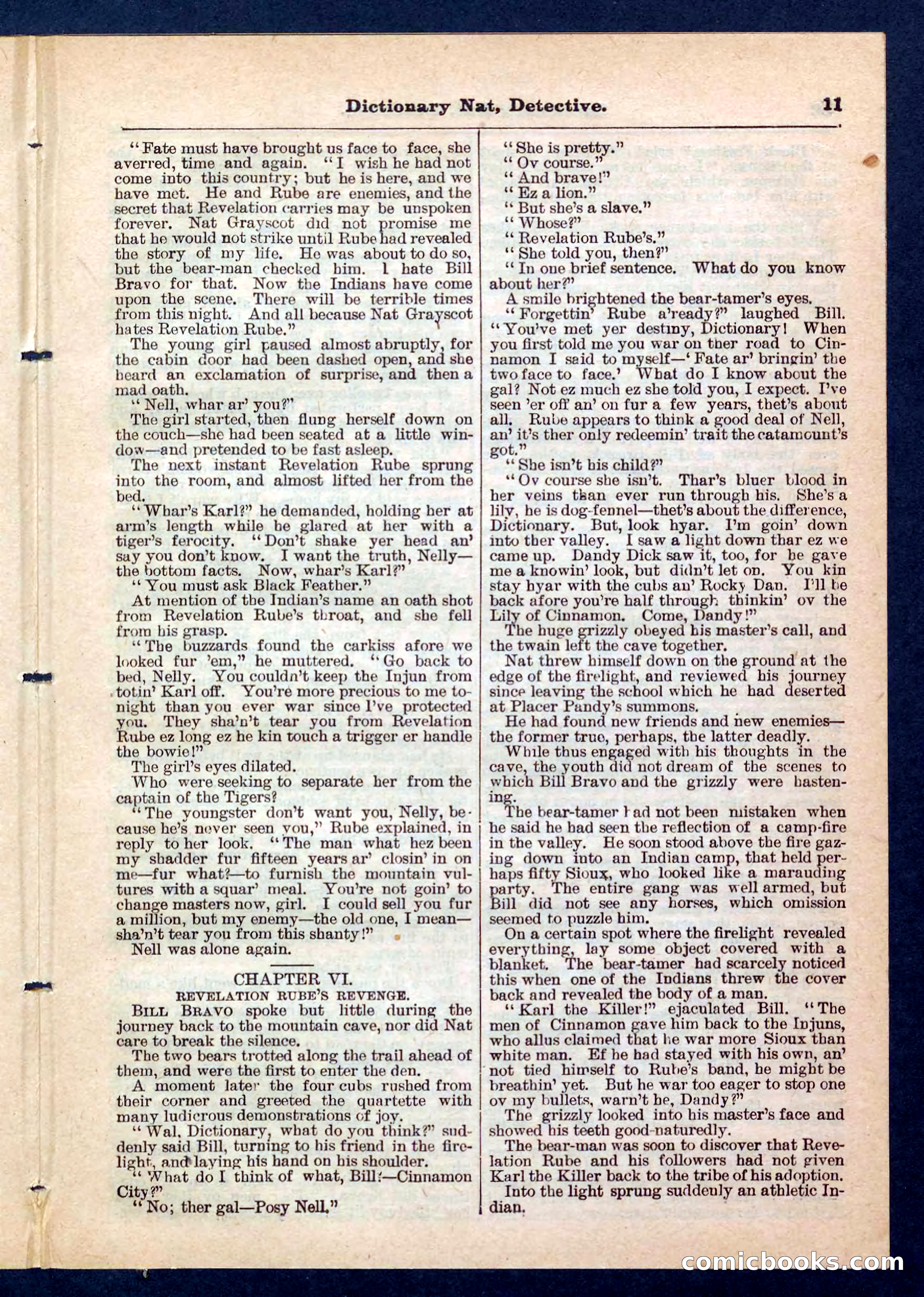 Beadle's Pocket Library No. 199 — page 11 of 32