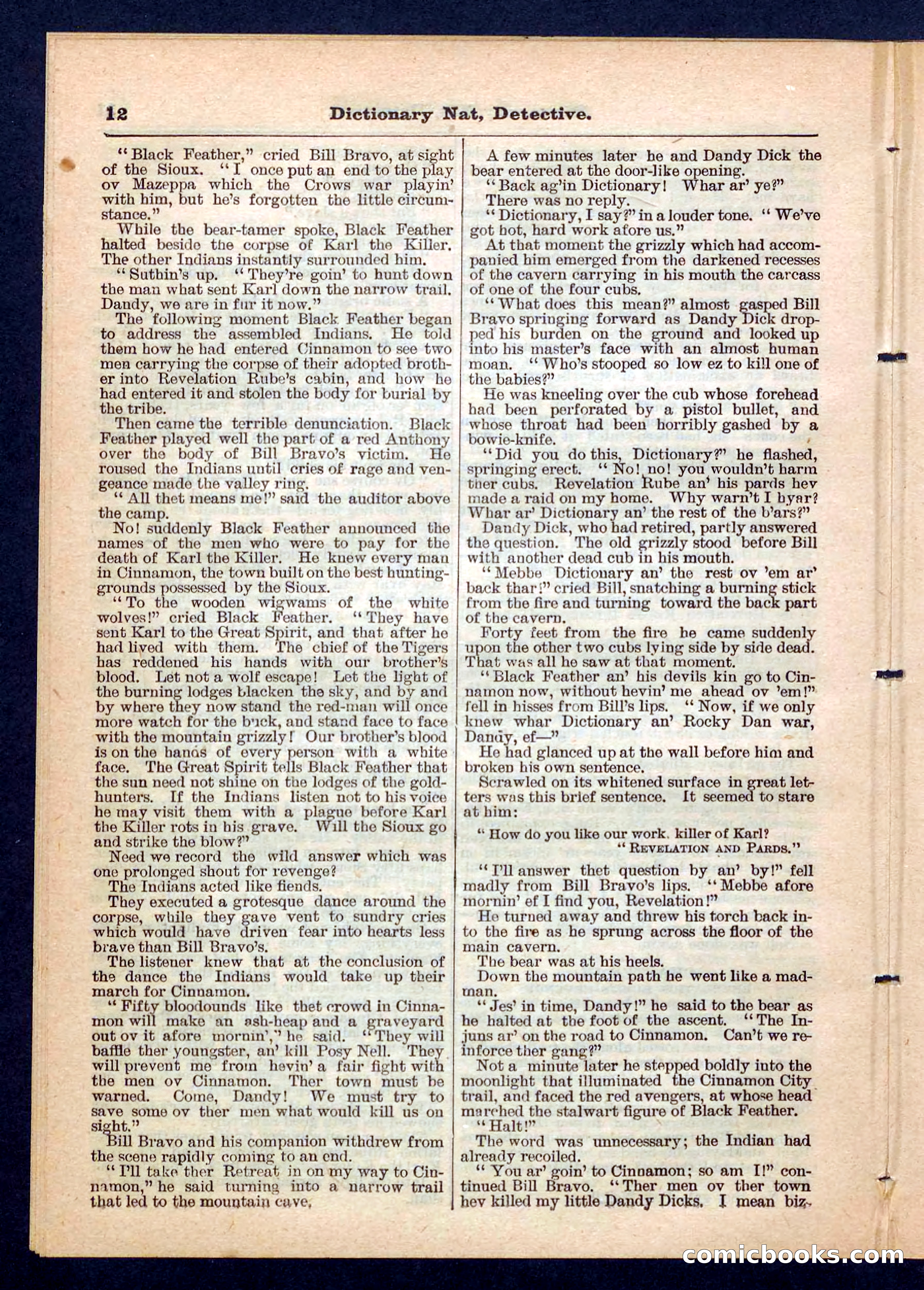 Beadle's Pocket Library No. 199 — page 12 of 32