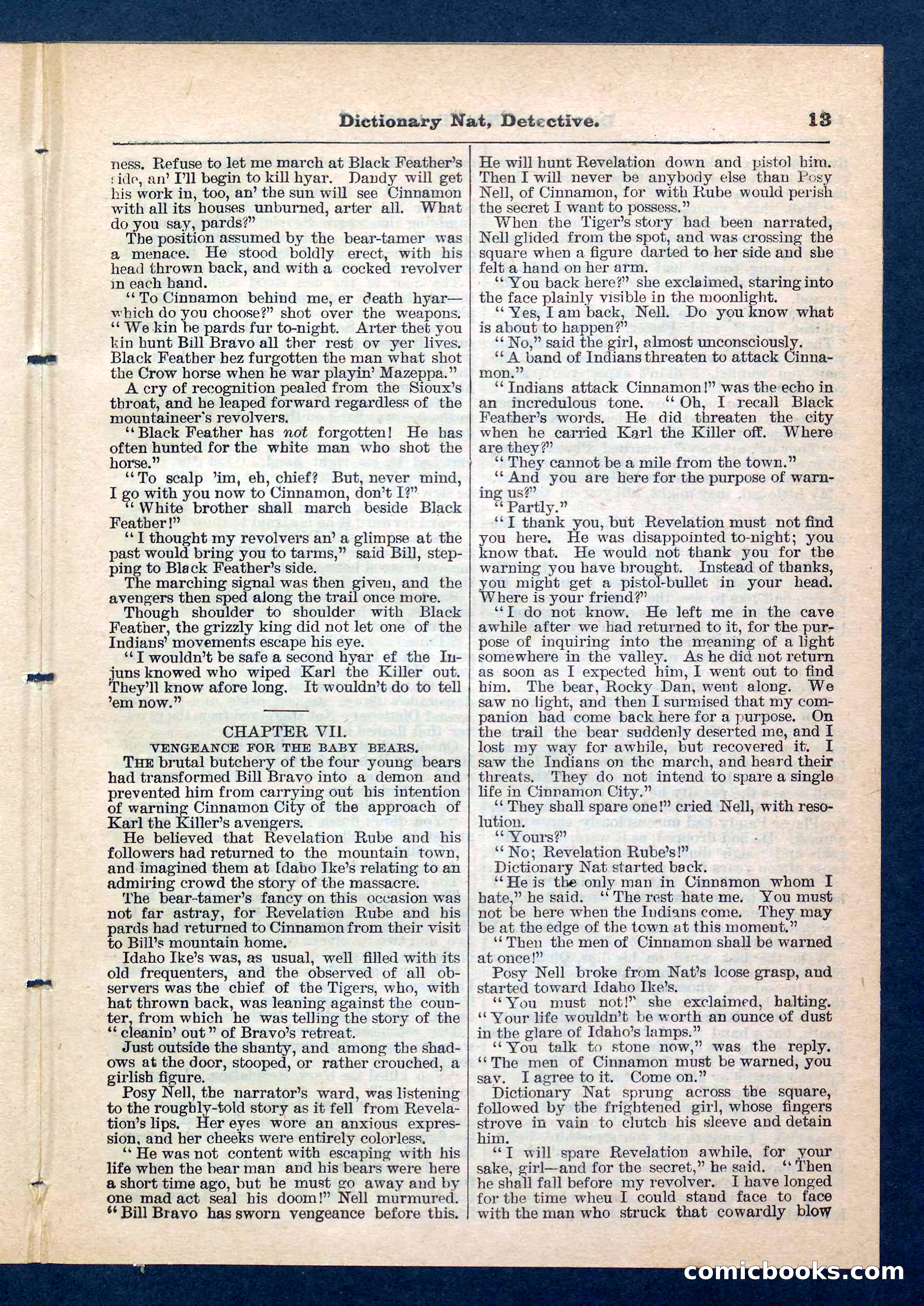 Beadle's Pocket Library No. 199 — page 13 of 32