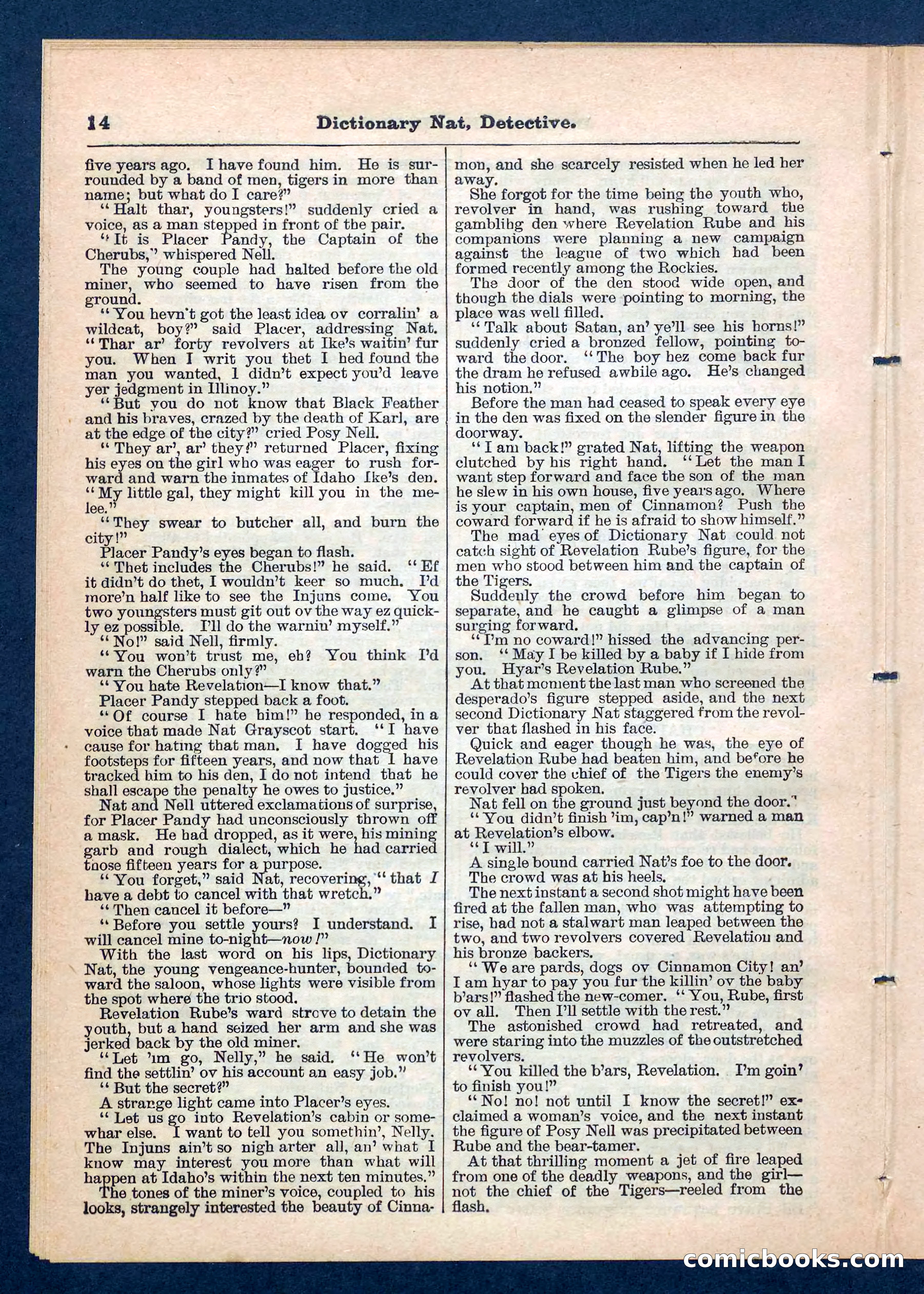 Beadle's Pocket Library No. 199 — page 14 of 32