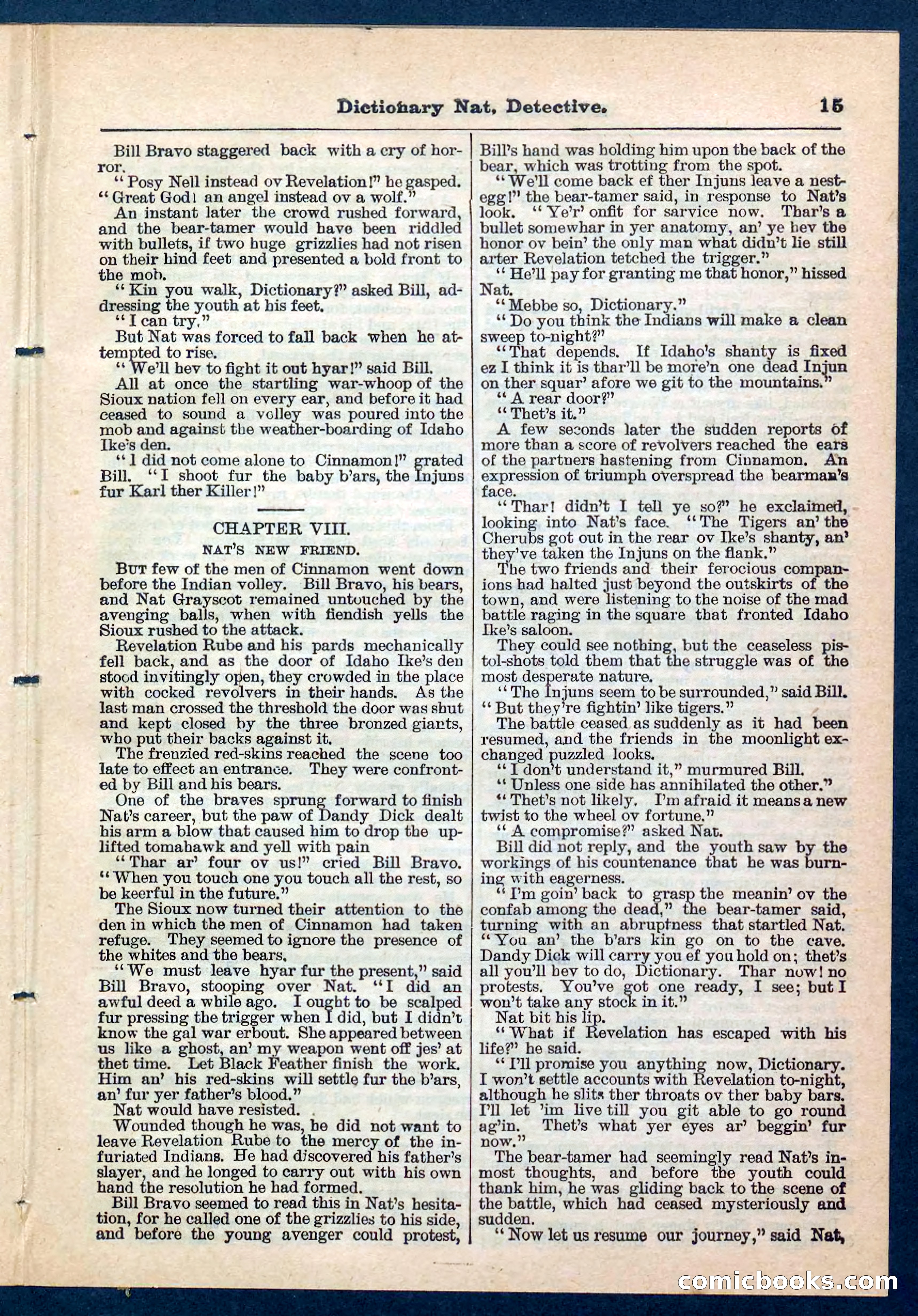 Beadle's Pocket Library No. 199 — page 15 of 32