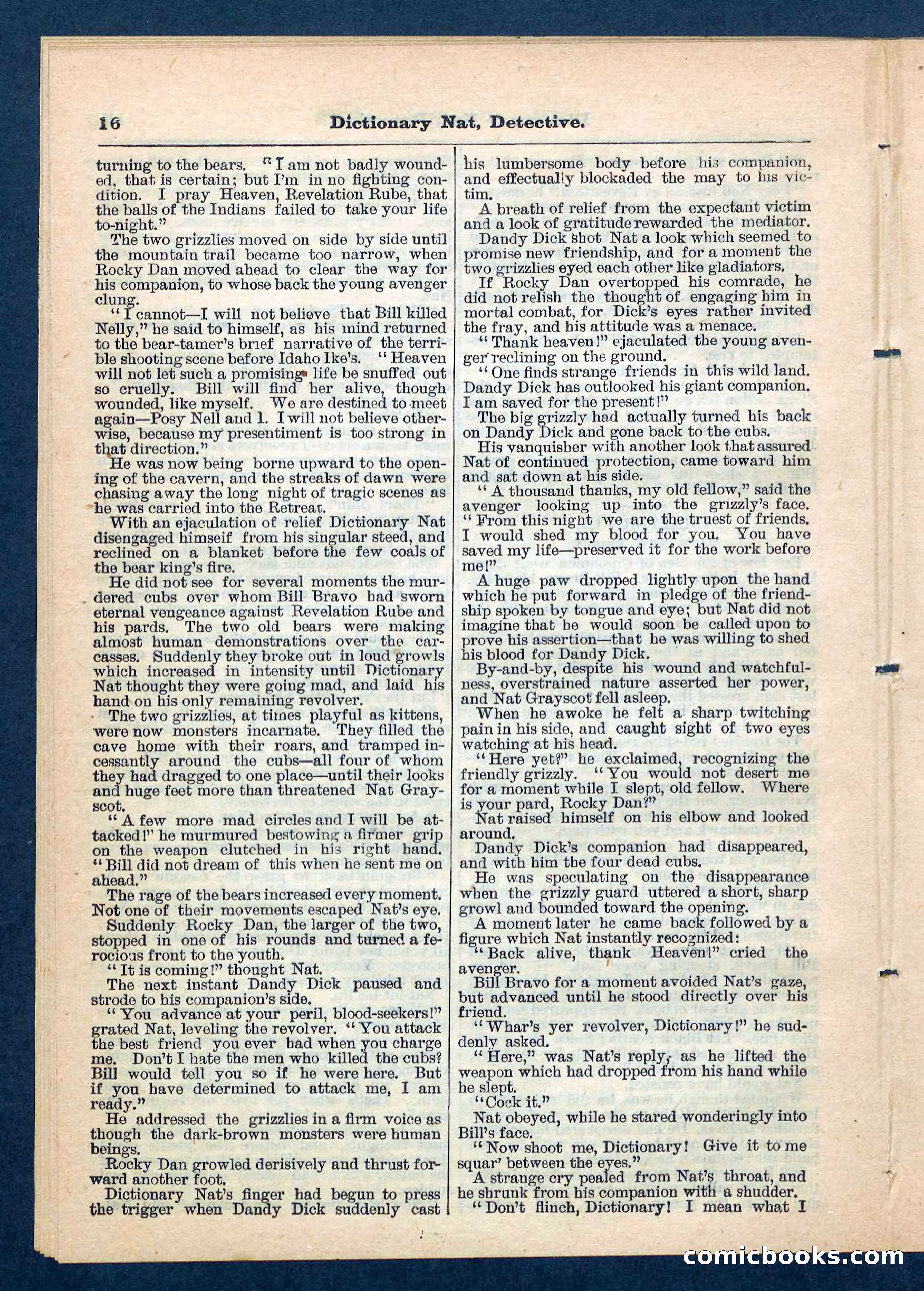 Beadle's Pocket Library No. 199 — page 16 of 32