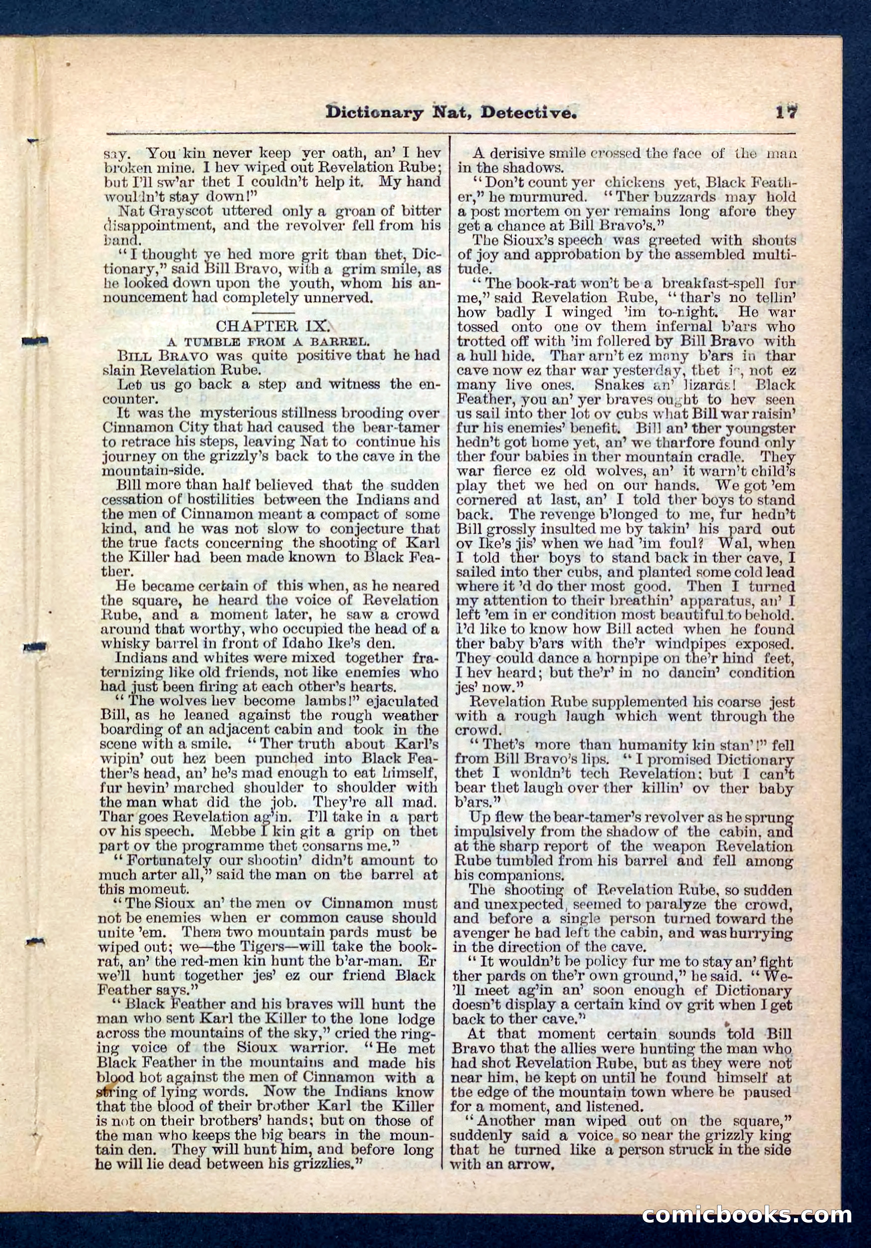 Beadle's Pocket Library No. 199 — page 17 of 32