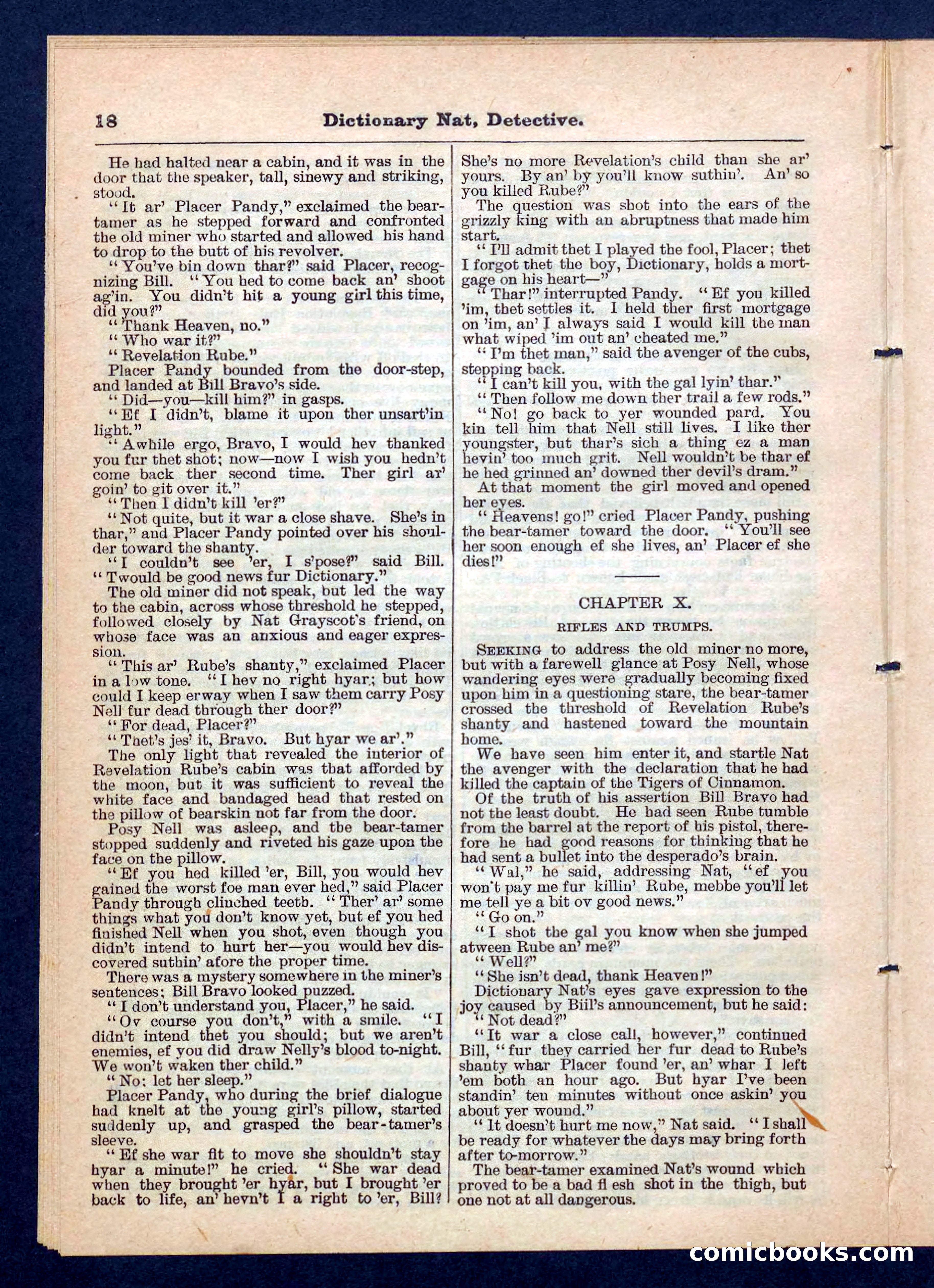 Beadle's Pocket Library No. 199 — page 18 of 32