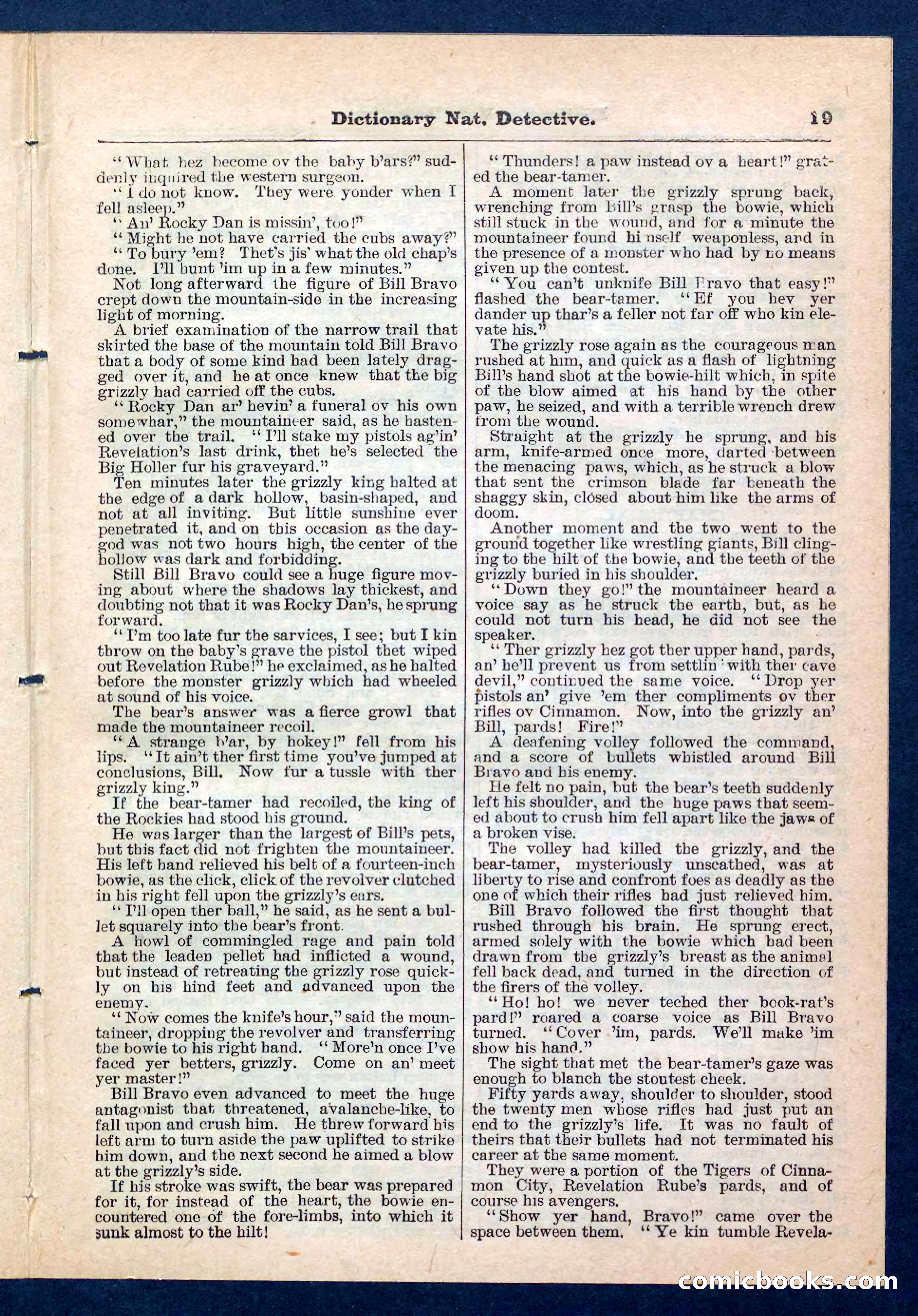 Beadle's Pocket Library No. 199 — page 19 of 32
