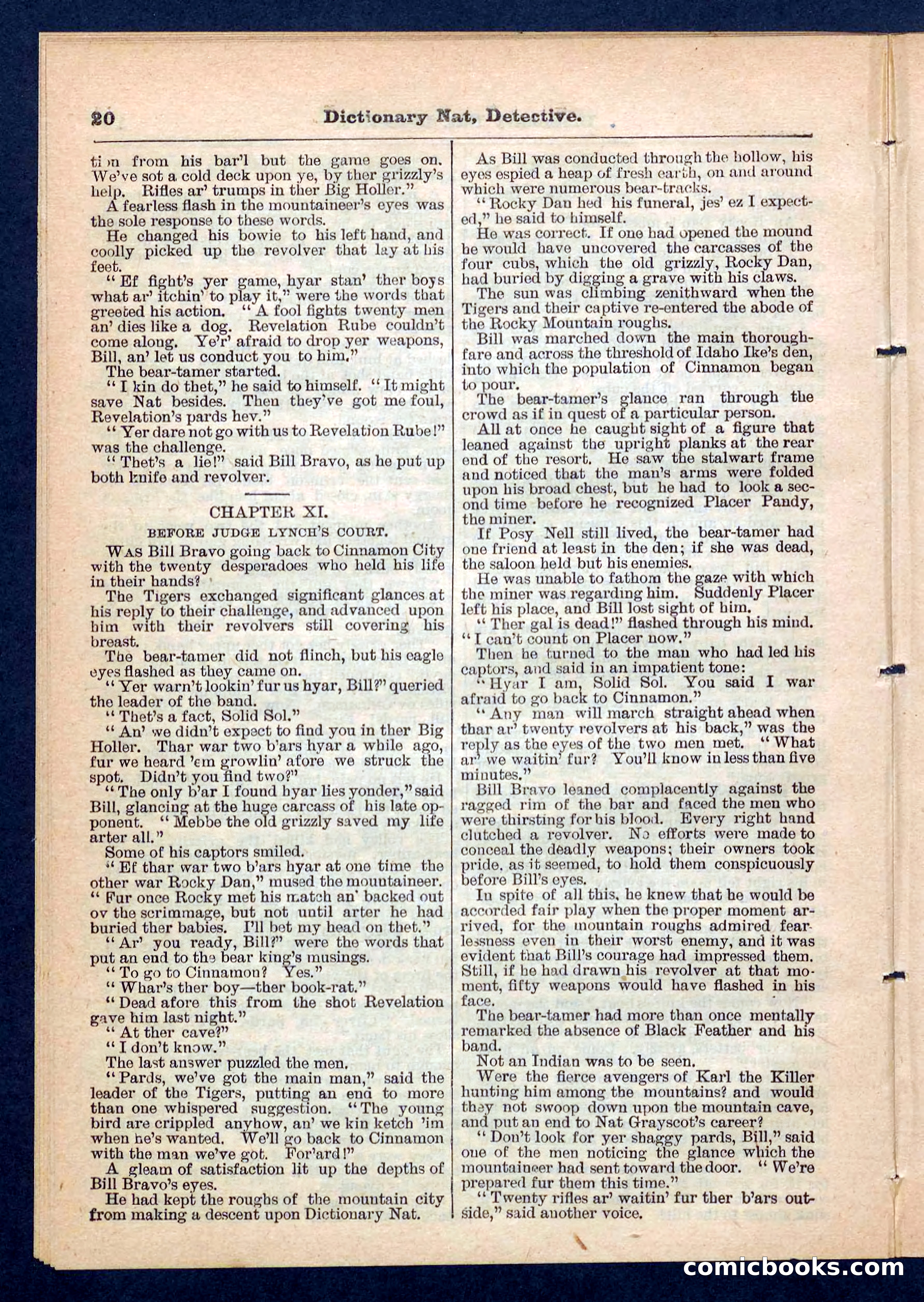 Beadle's Pocket Library No. 199 — page 20 of 32