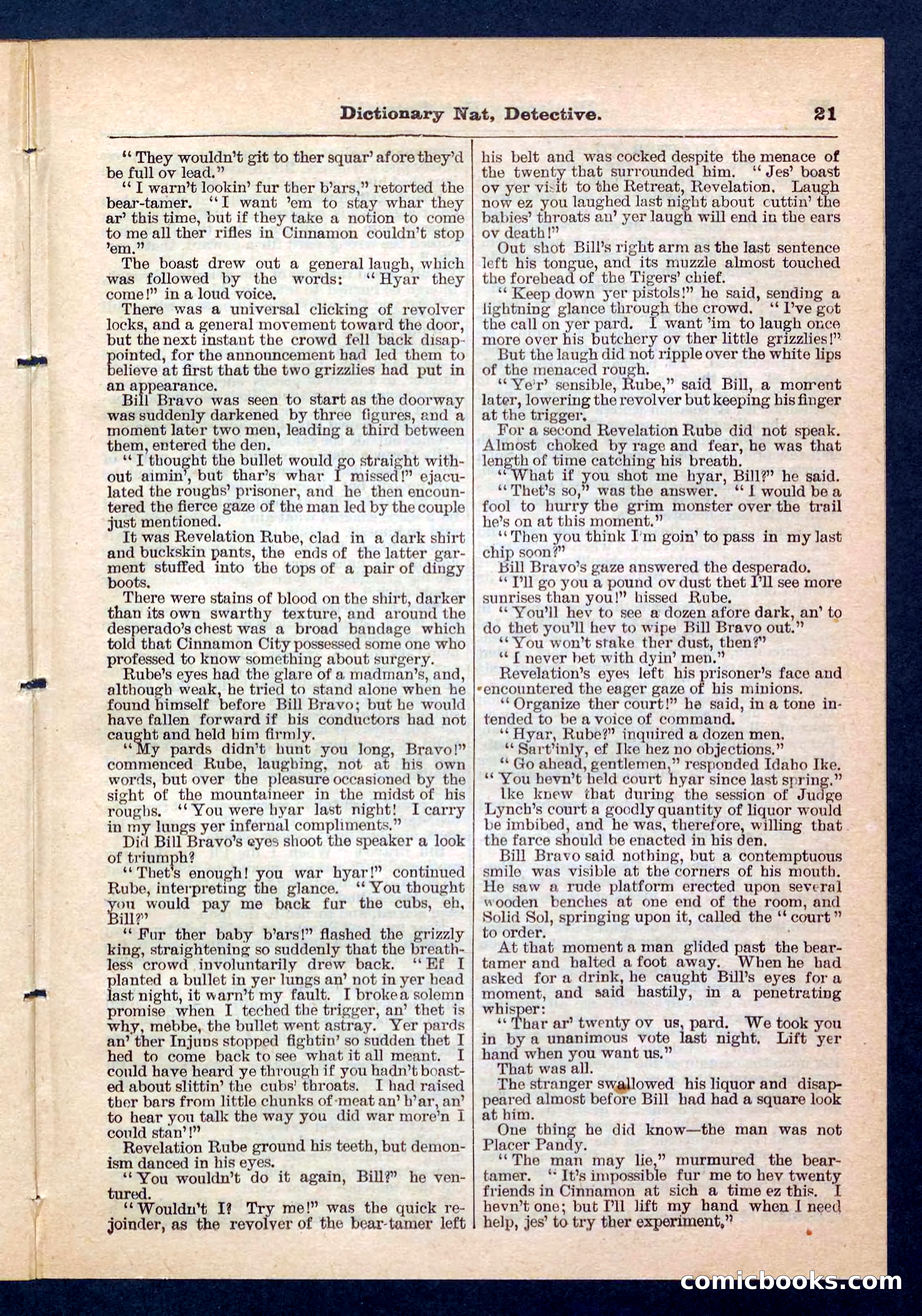 Beadle's Pocket Library No. 199 — page 21 of 32