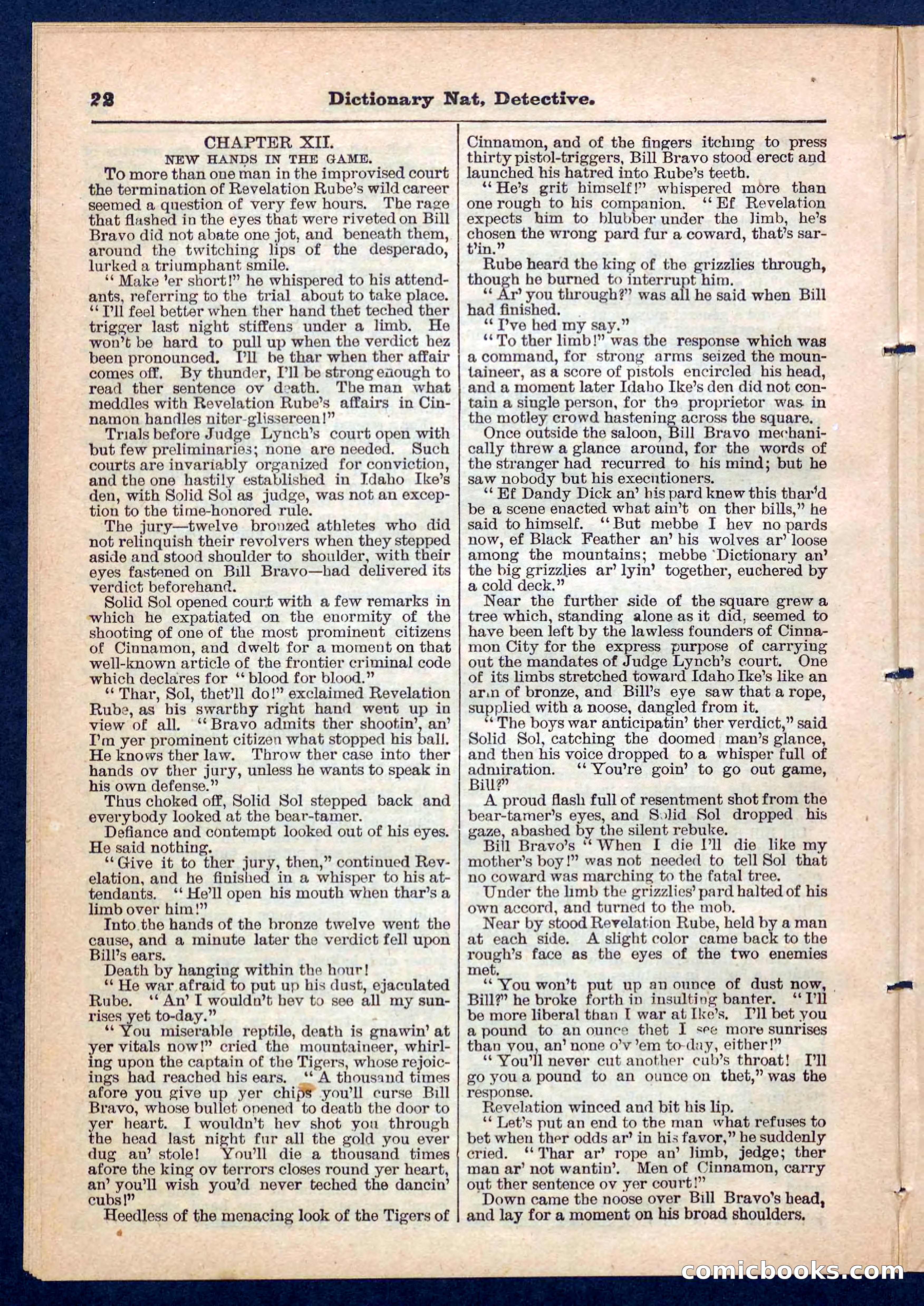 Beadle's Pocket Library No. 199 — page 22 of 32