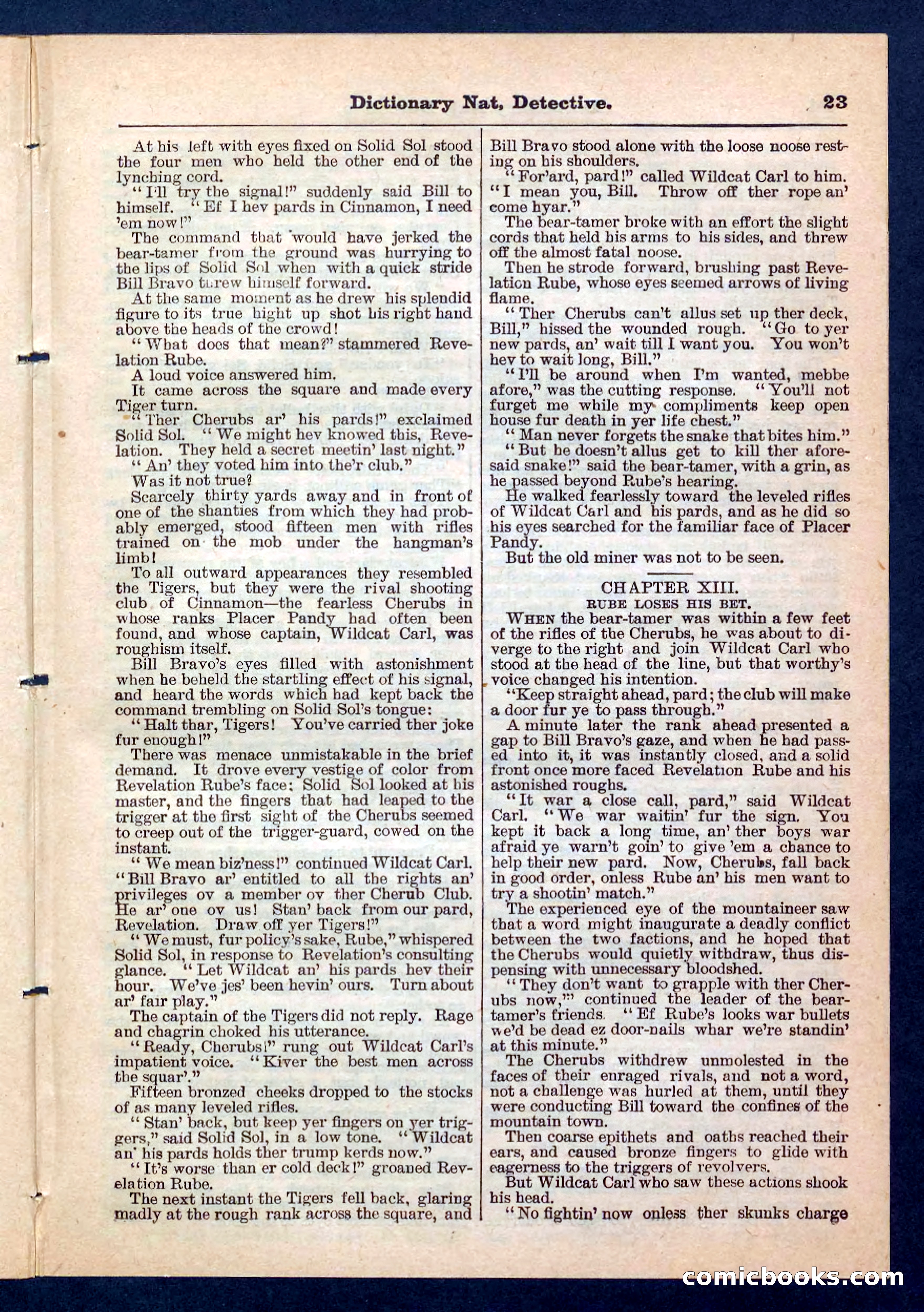 Beadle's Pocket Library No. 199 — page 23 of 32