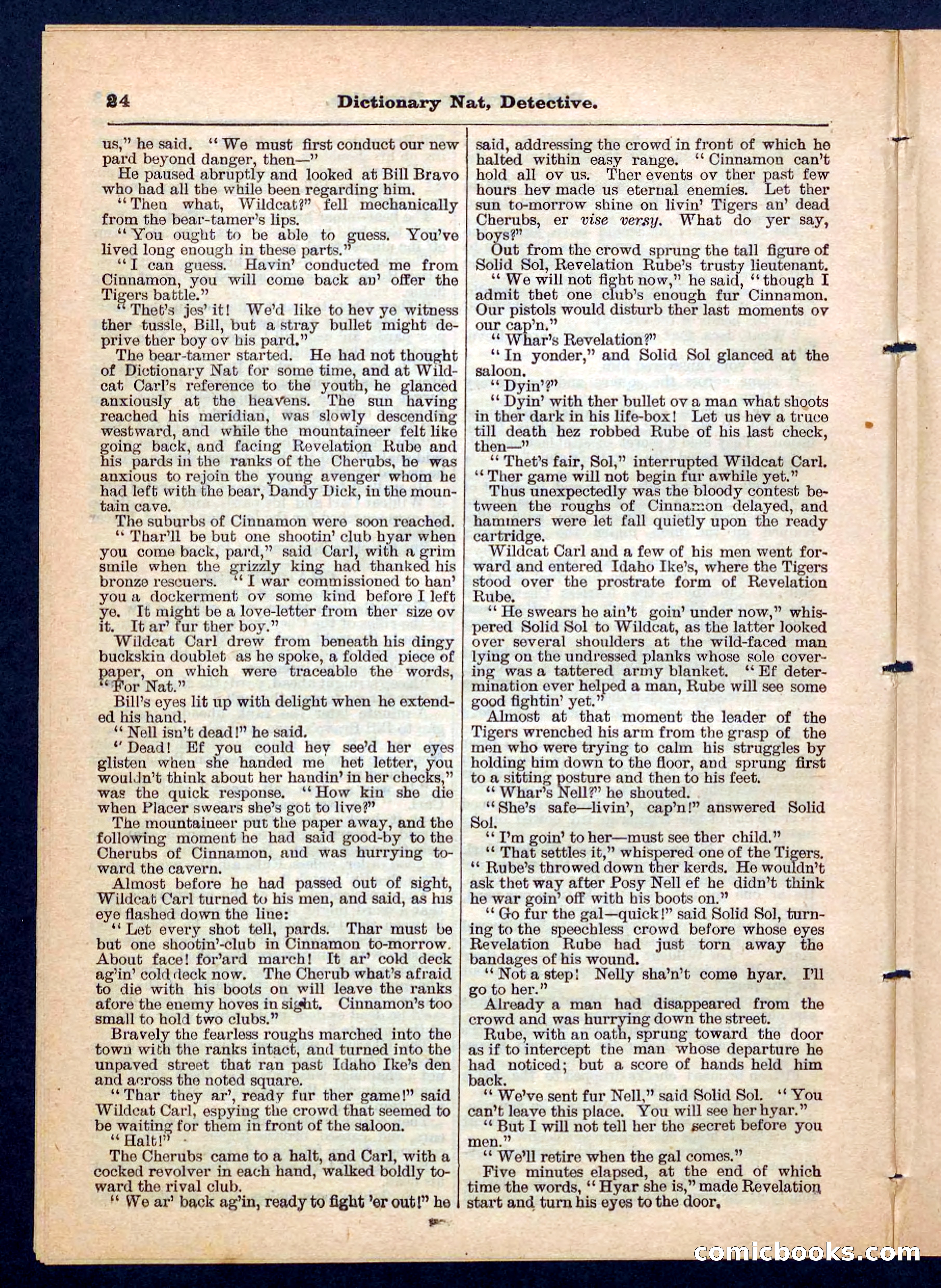Beadle's Pocket Library No. 199 — page 24 of 32