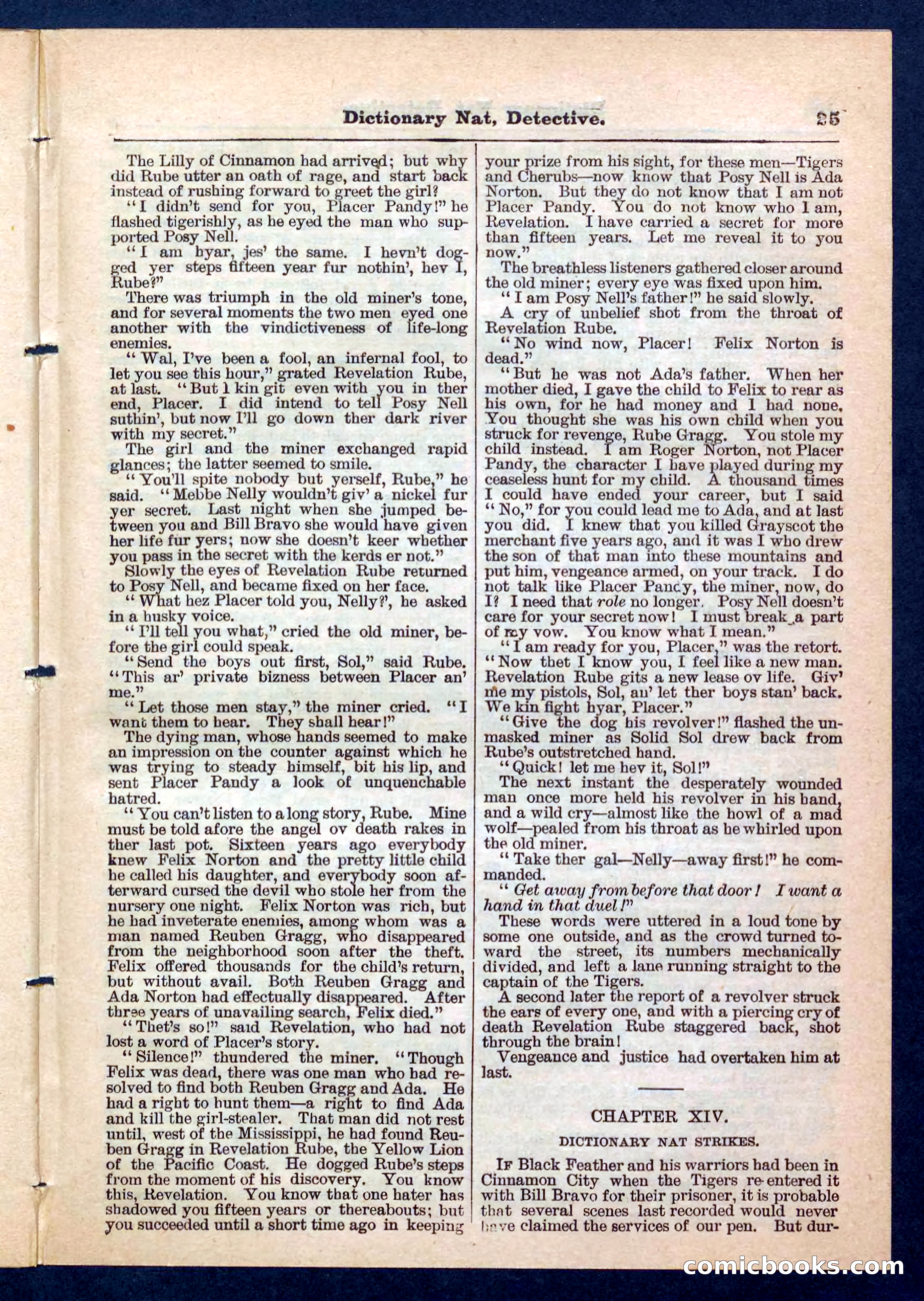 Beadle's Pocket Library No. 199 — page 25 of 32